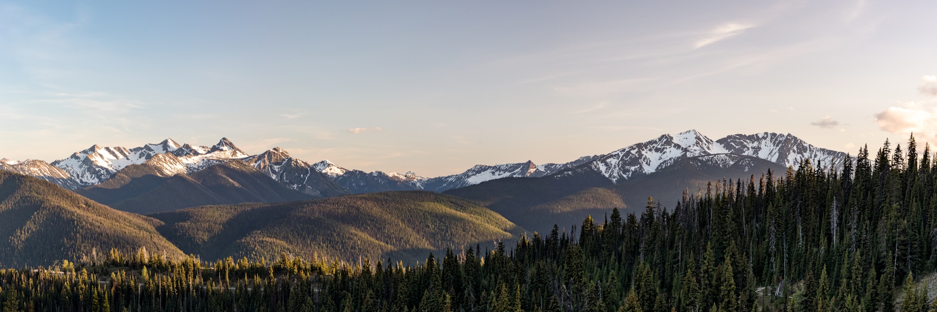 A view of a mountain range with trees in the foreground