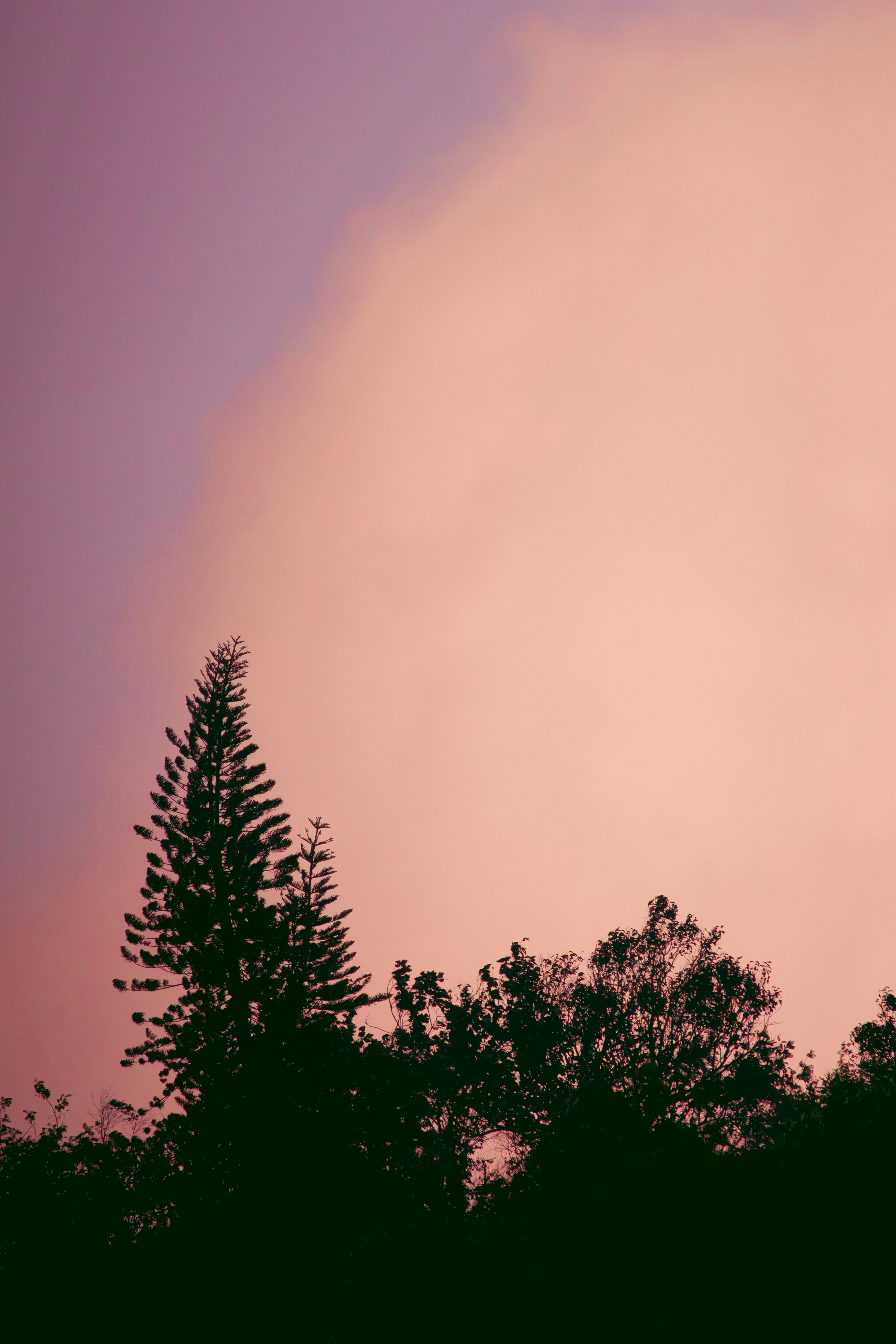 Photo by sameer_srivastava