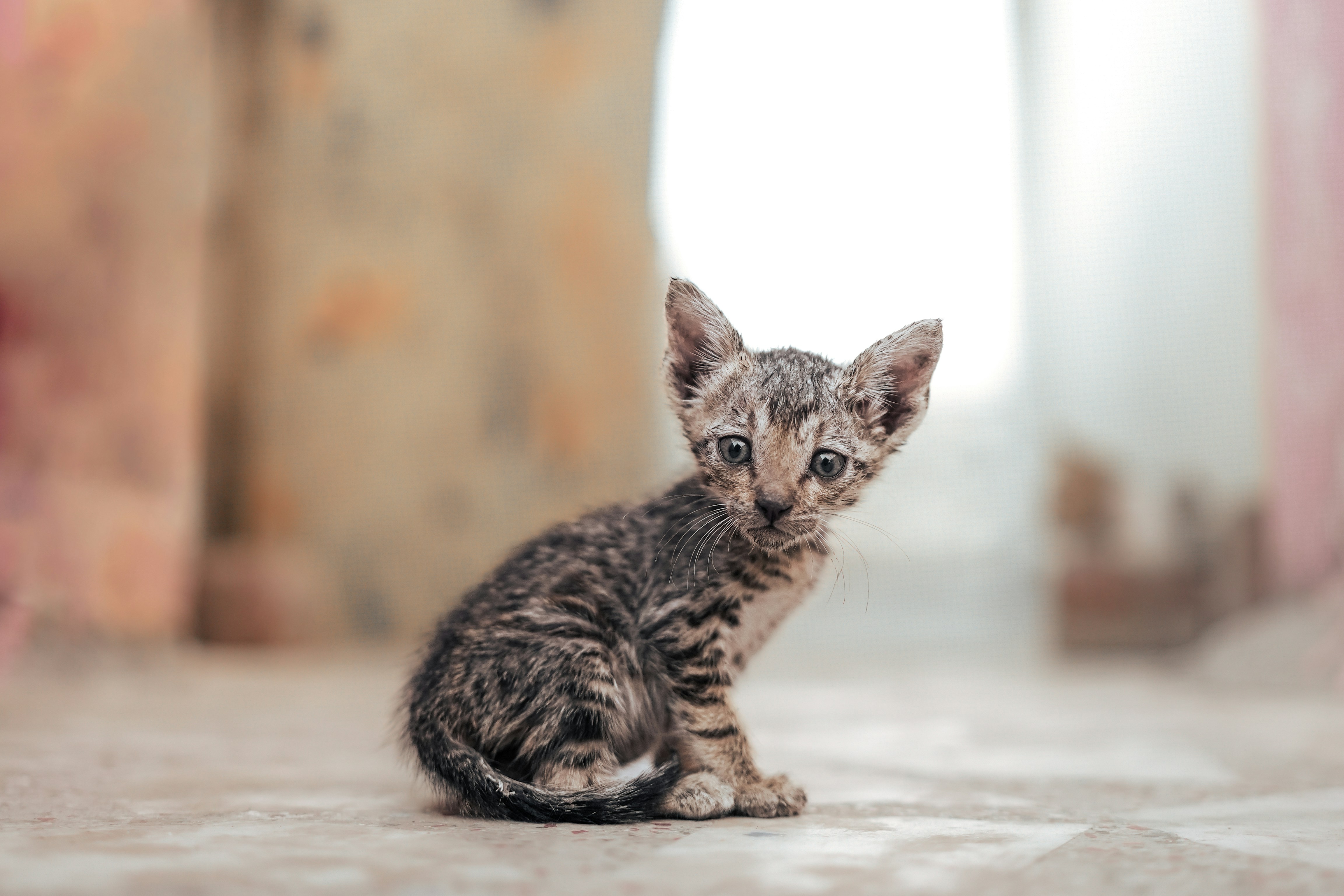 Photo by aayushchauhanphotography