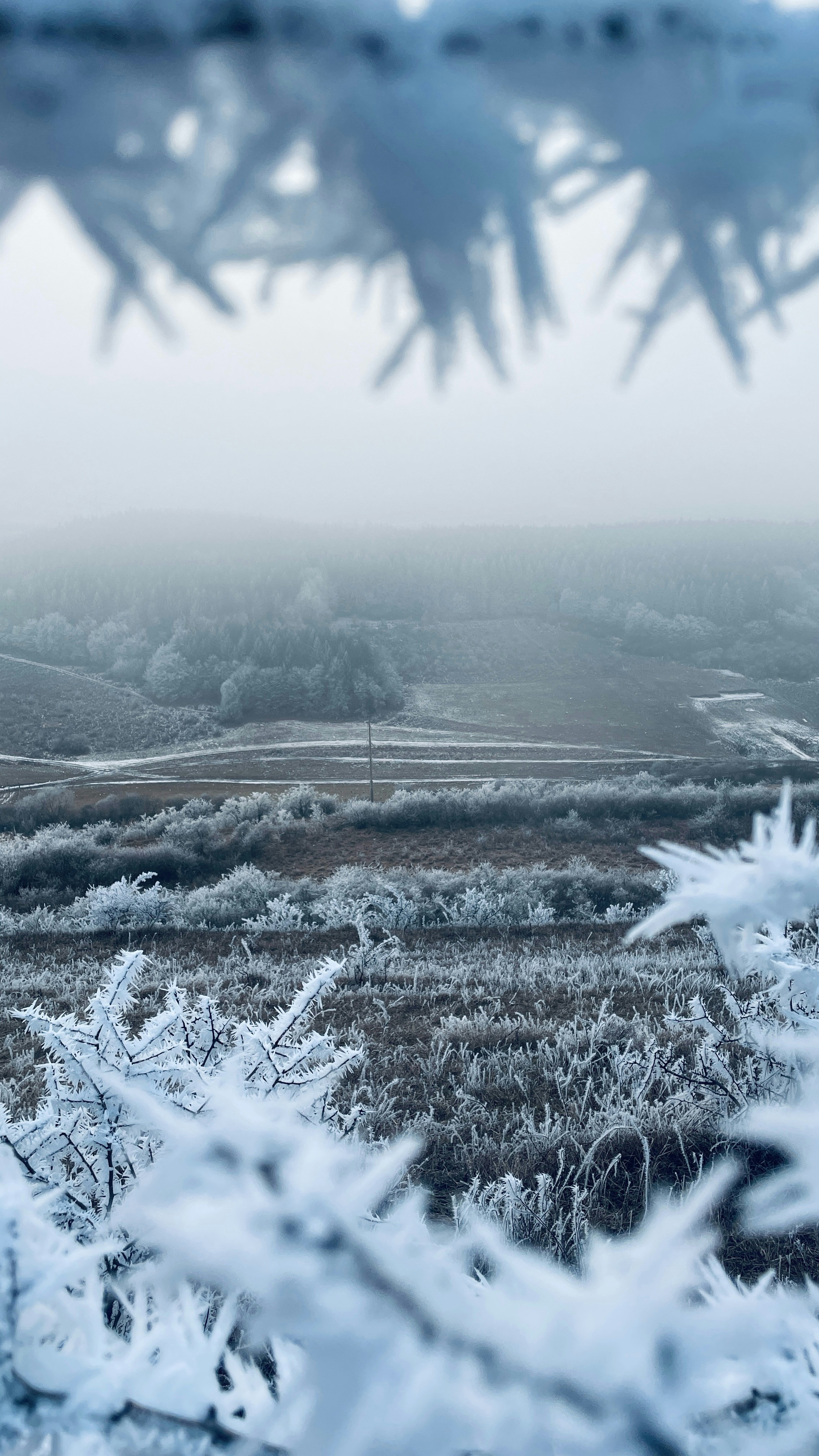 A view of a snowy field through a window