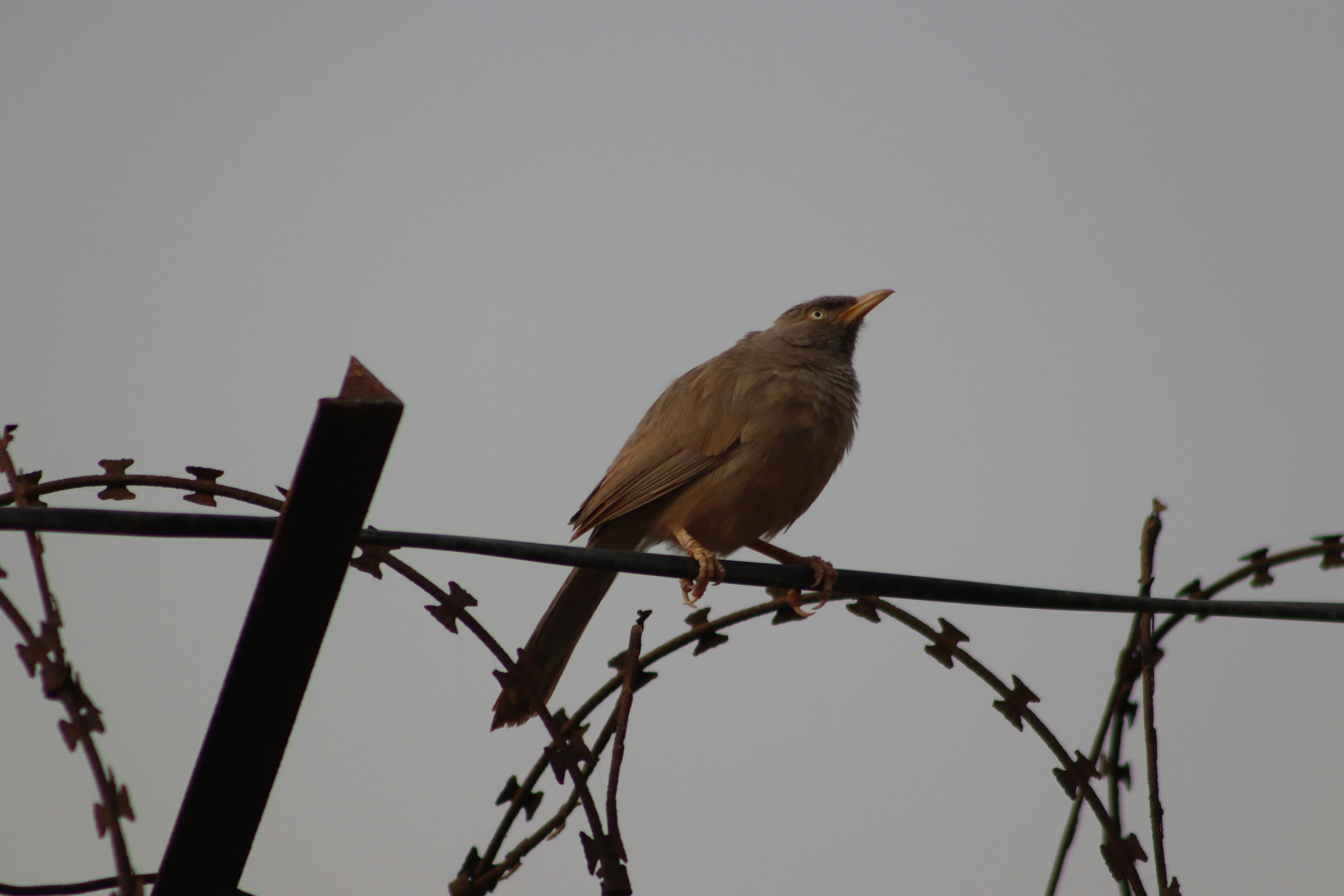 Photo by drphotographer152