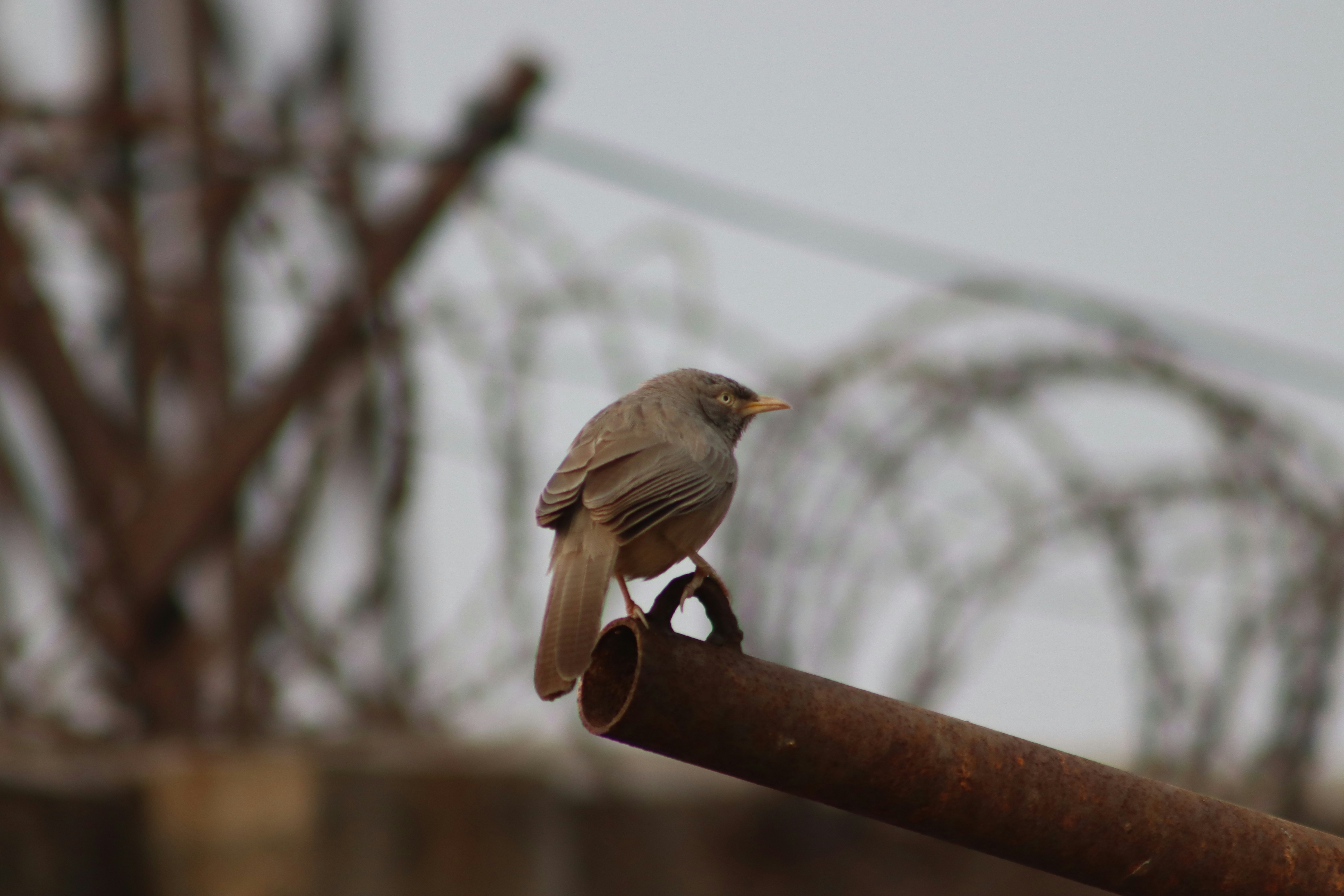 Photo by drphotographer152