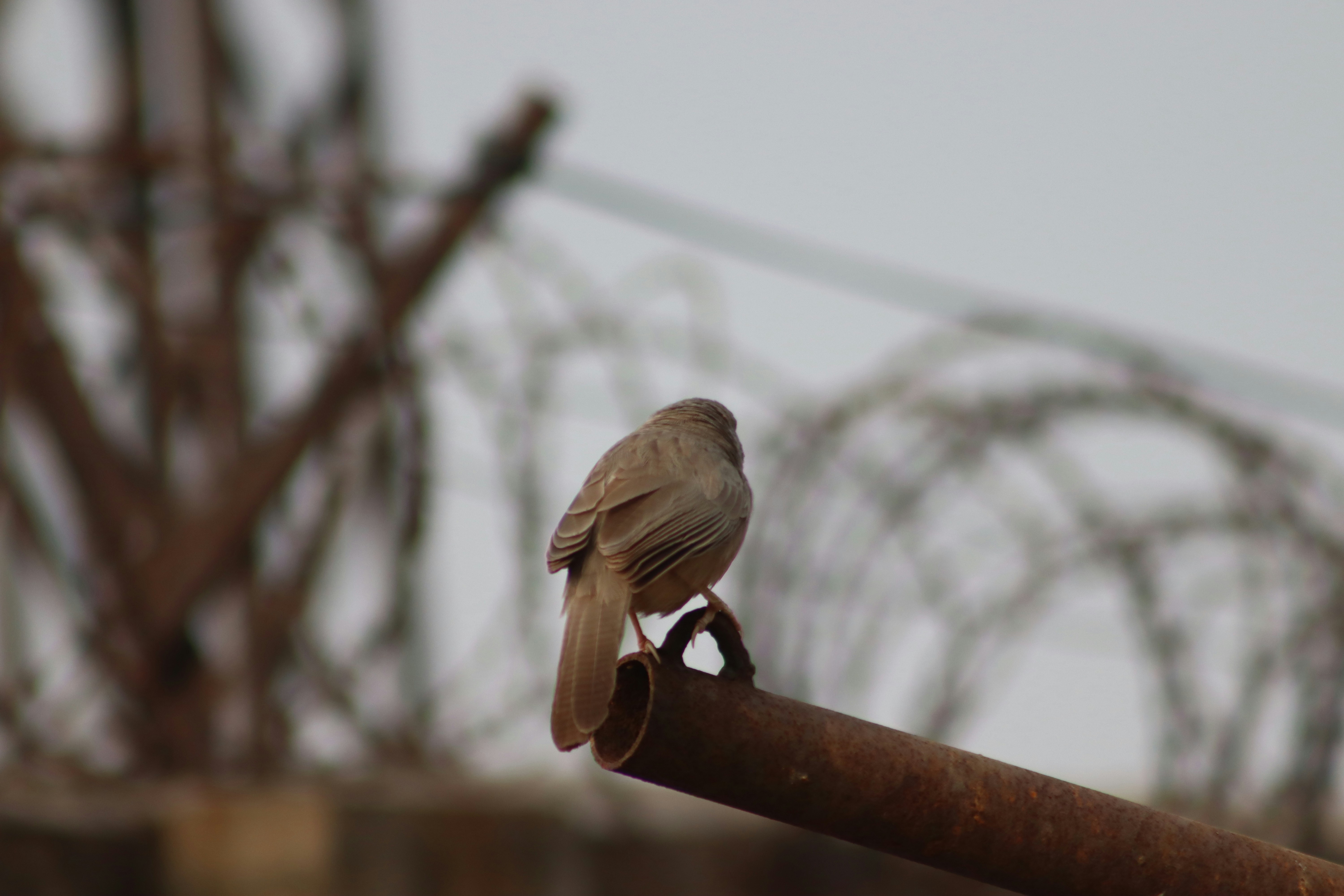 Photo by drphotographer152