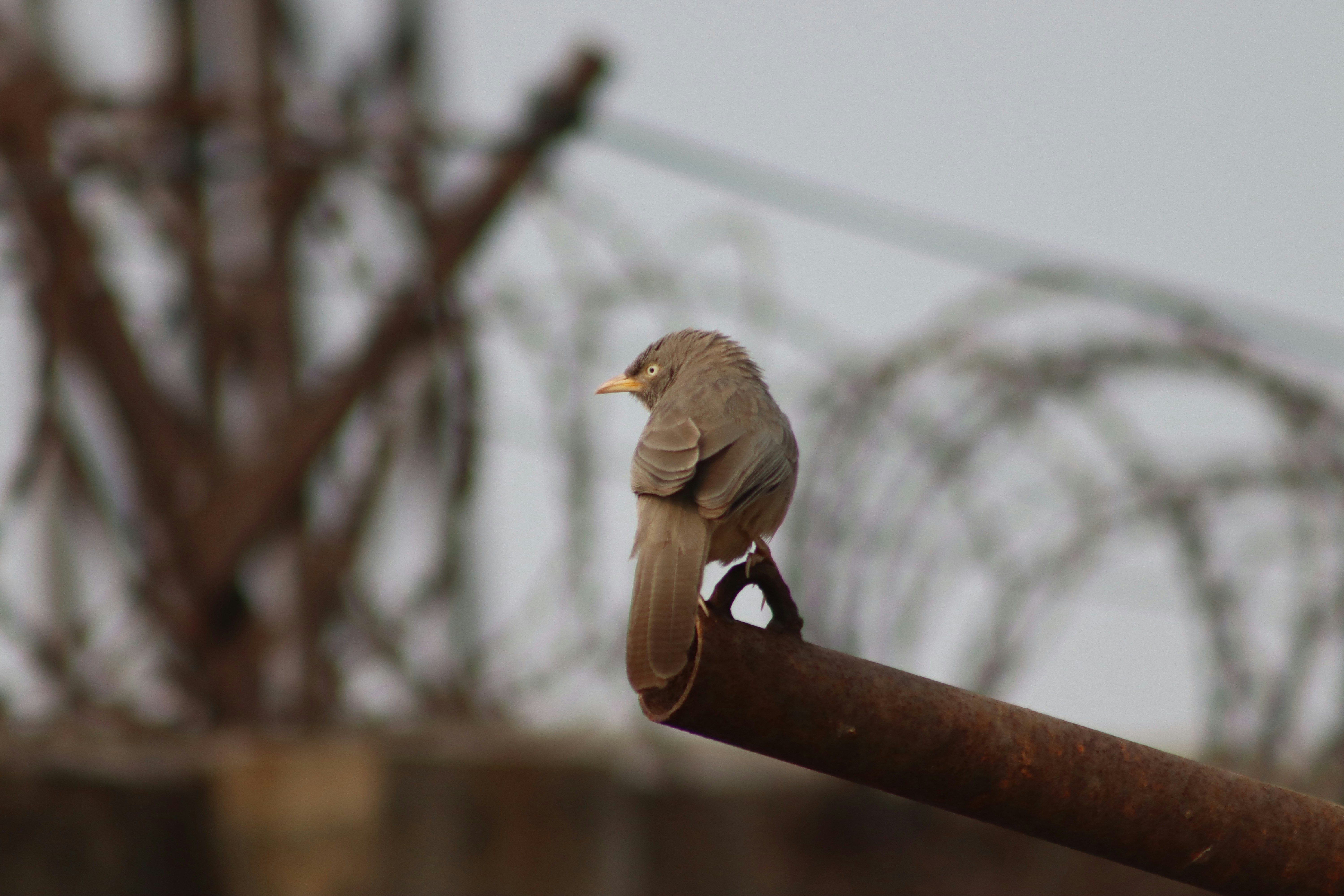 Photo by drphotographer152