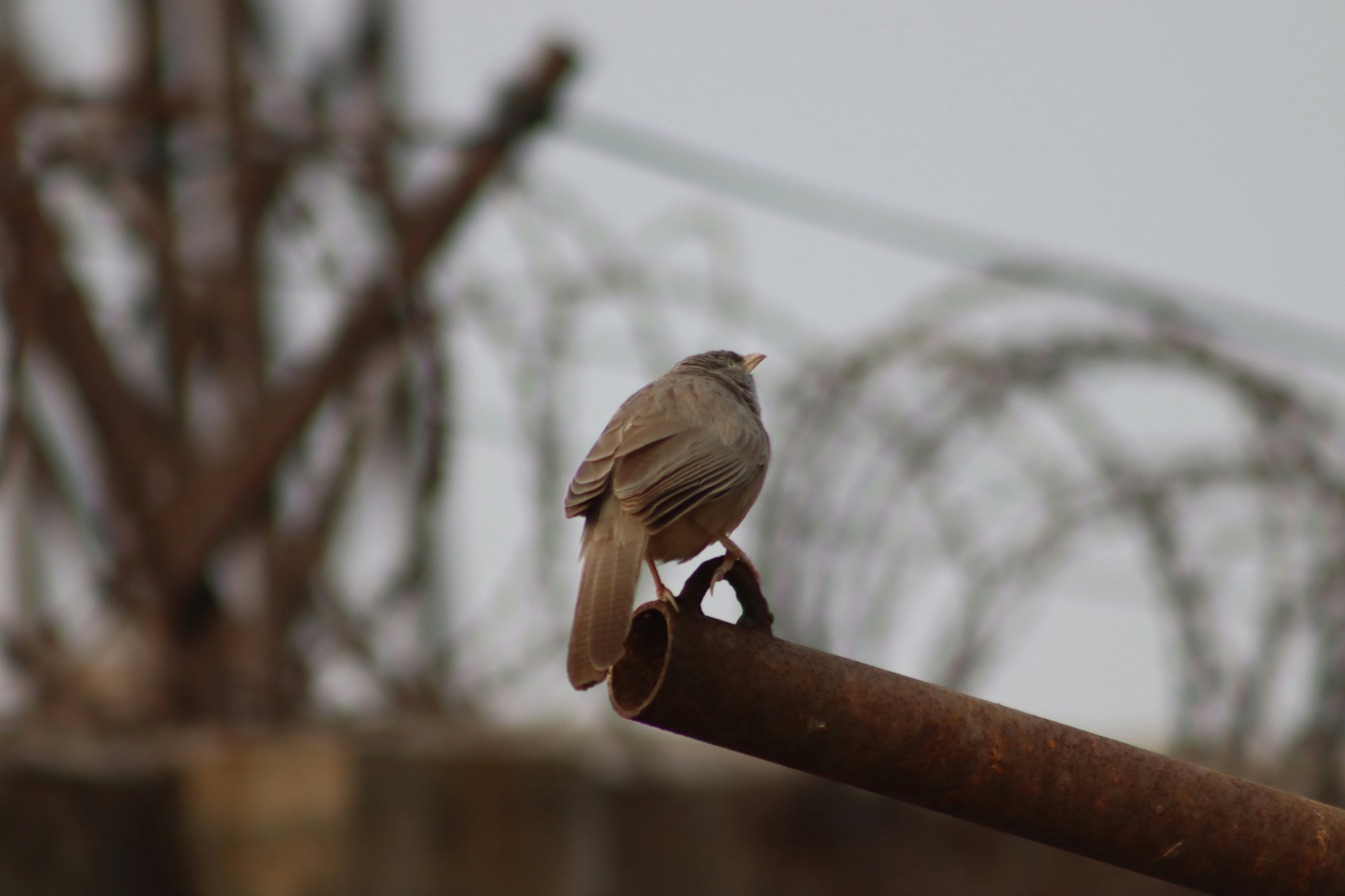 Photo by drphotographer152