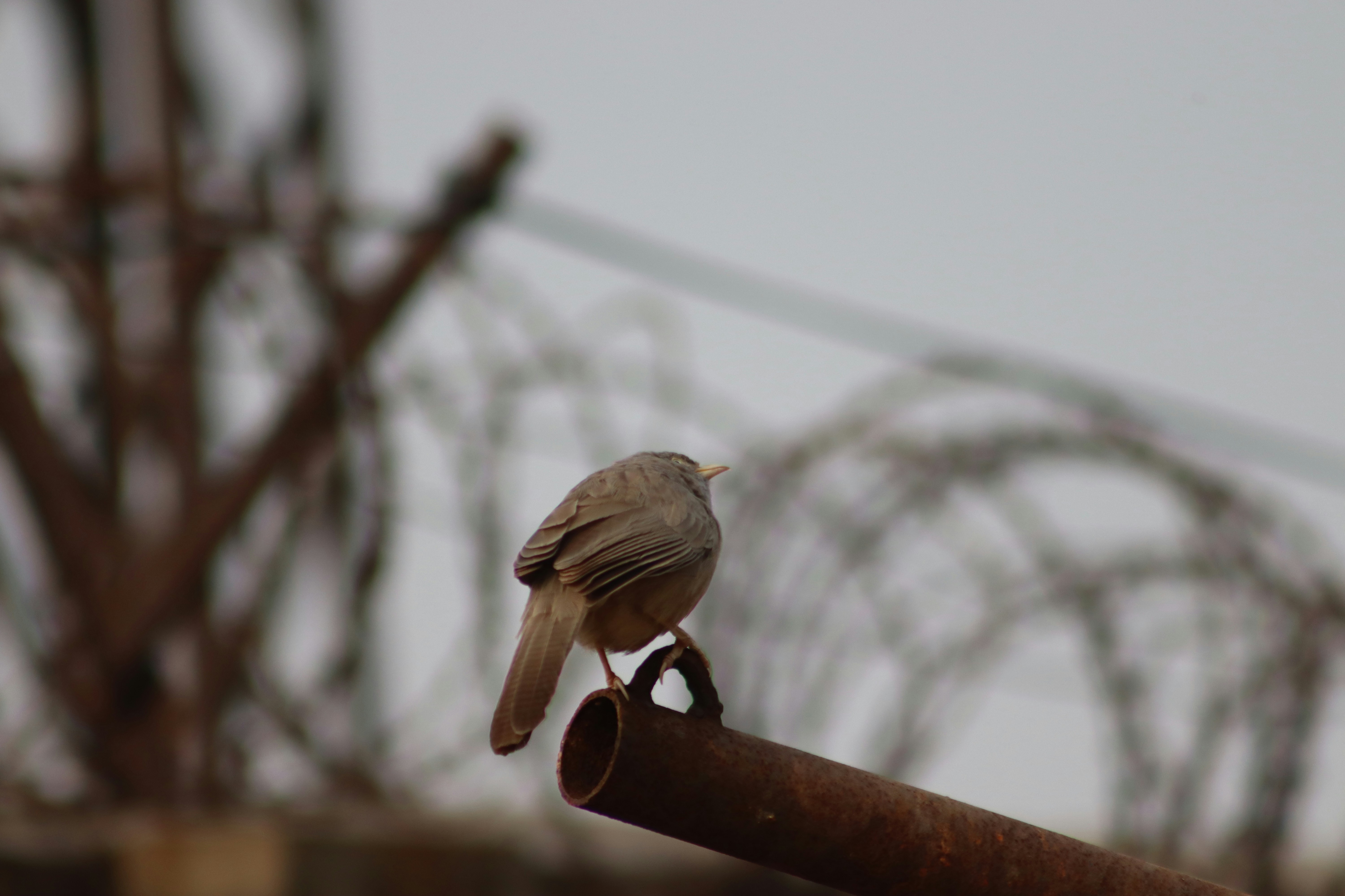 Photo by drphotographer152