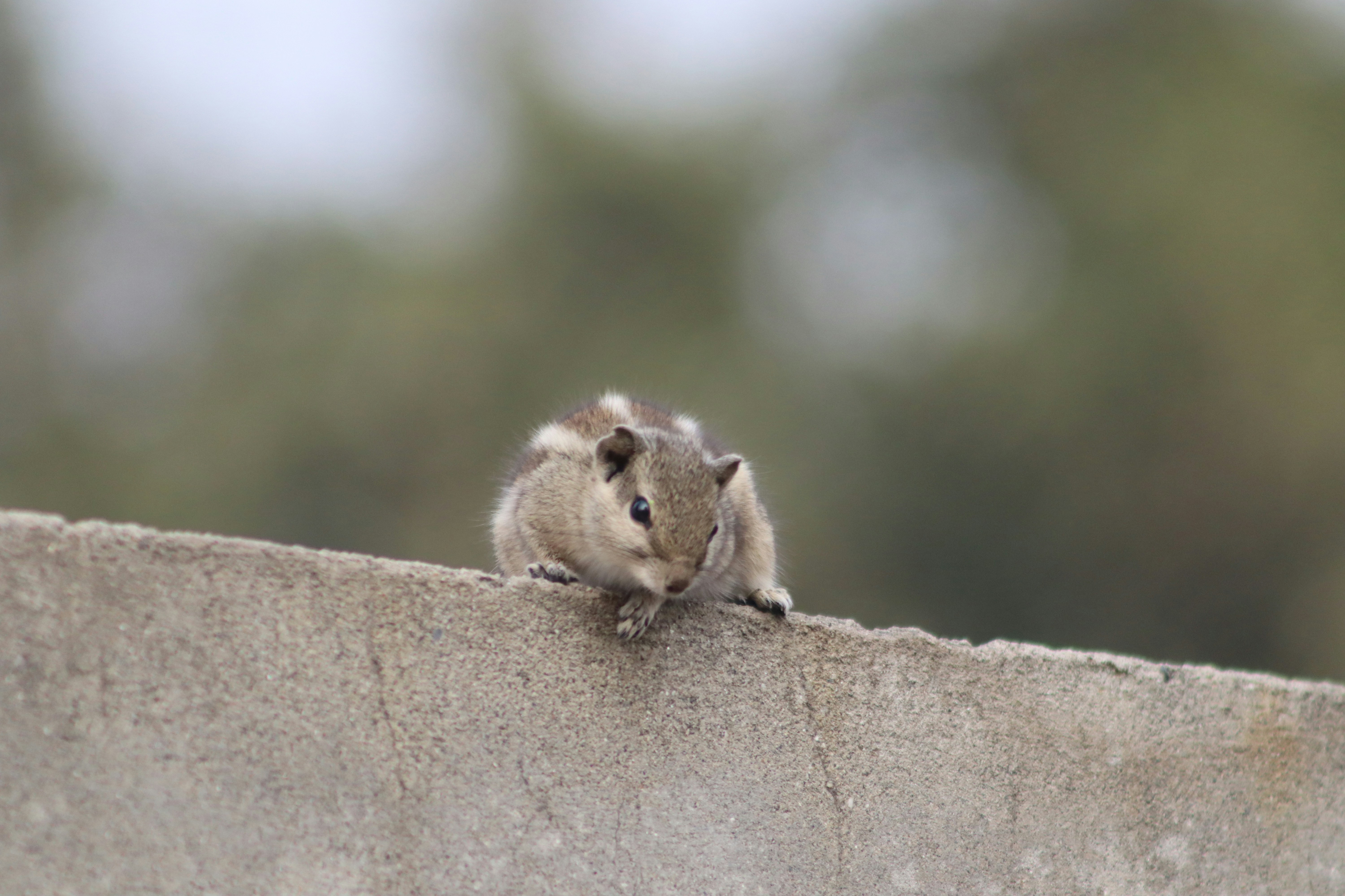 Photo by drphotographer152