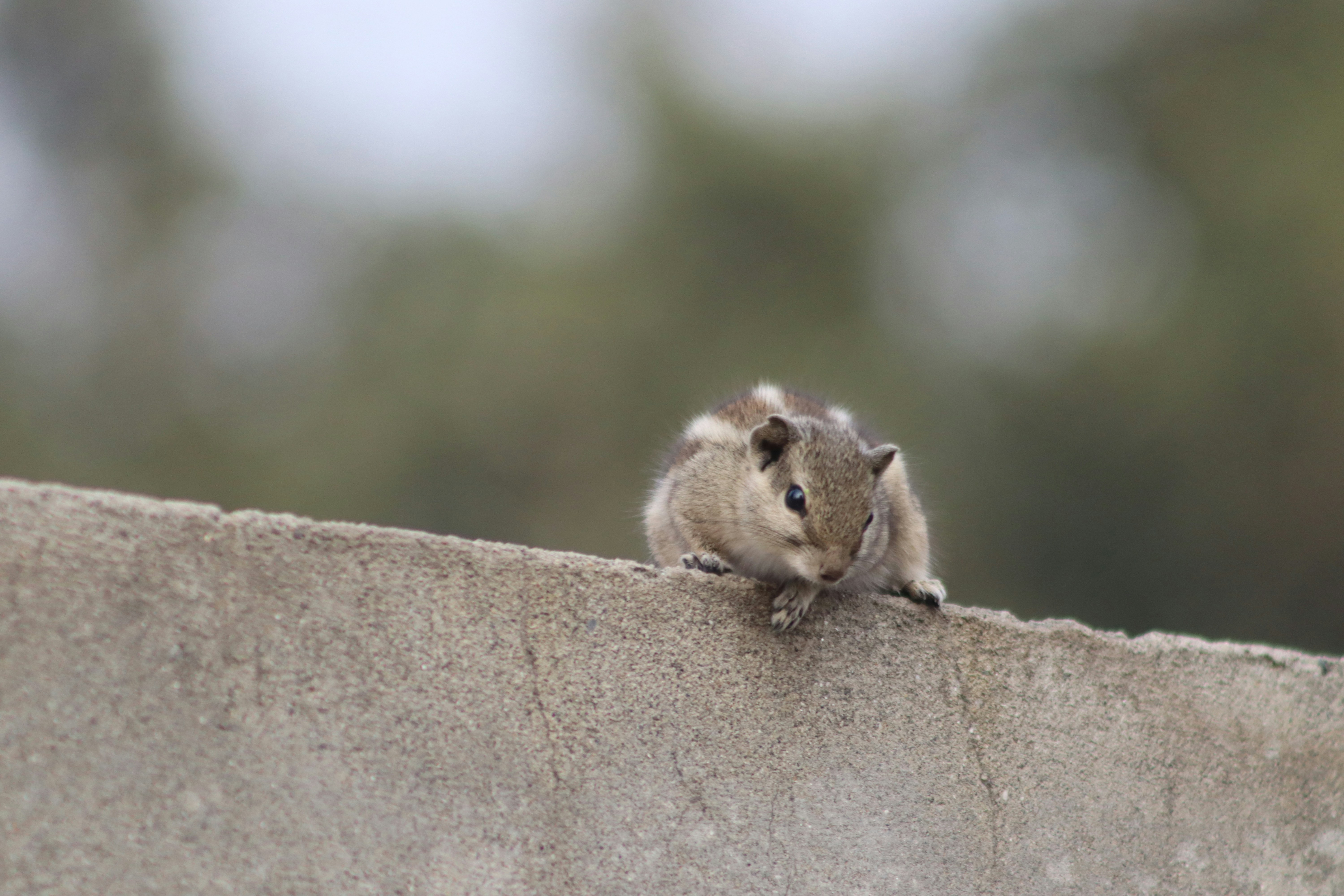 Photo by drphotographer152