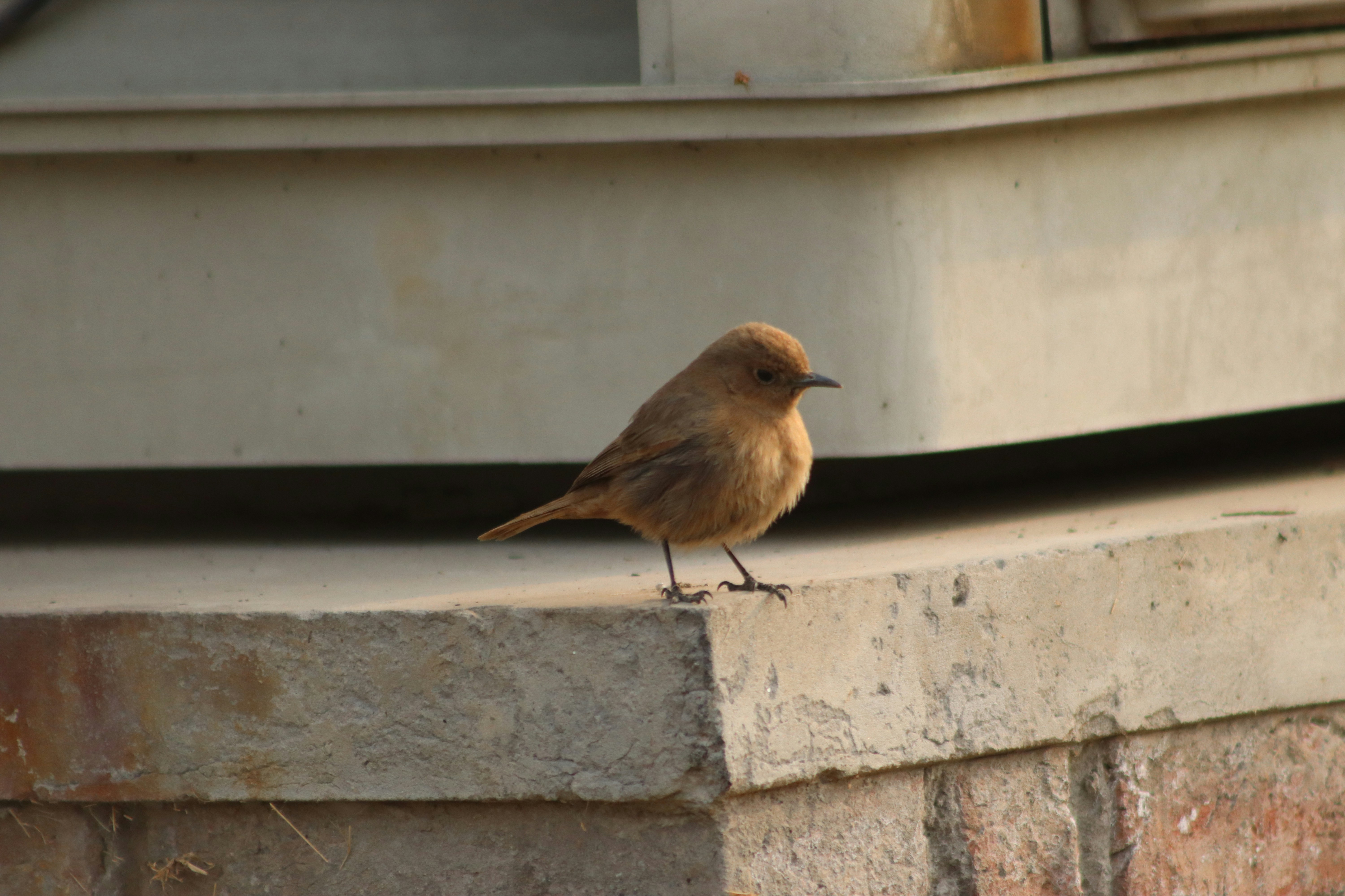 Photo by drphotographer152