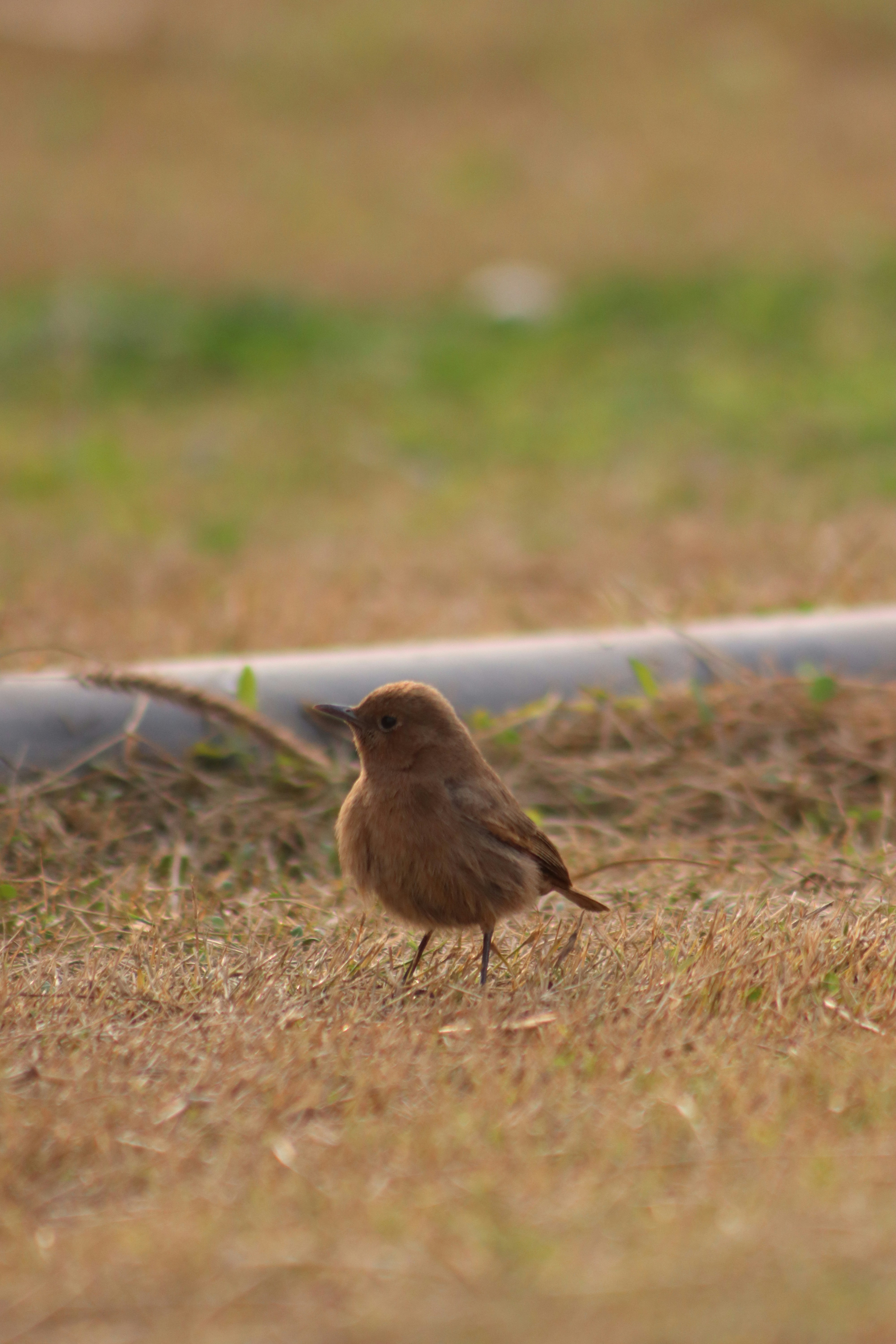 Photo by drphotographer152