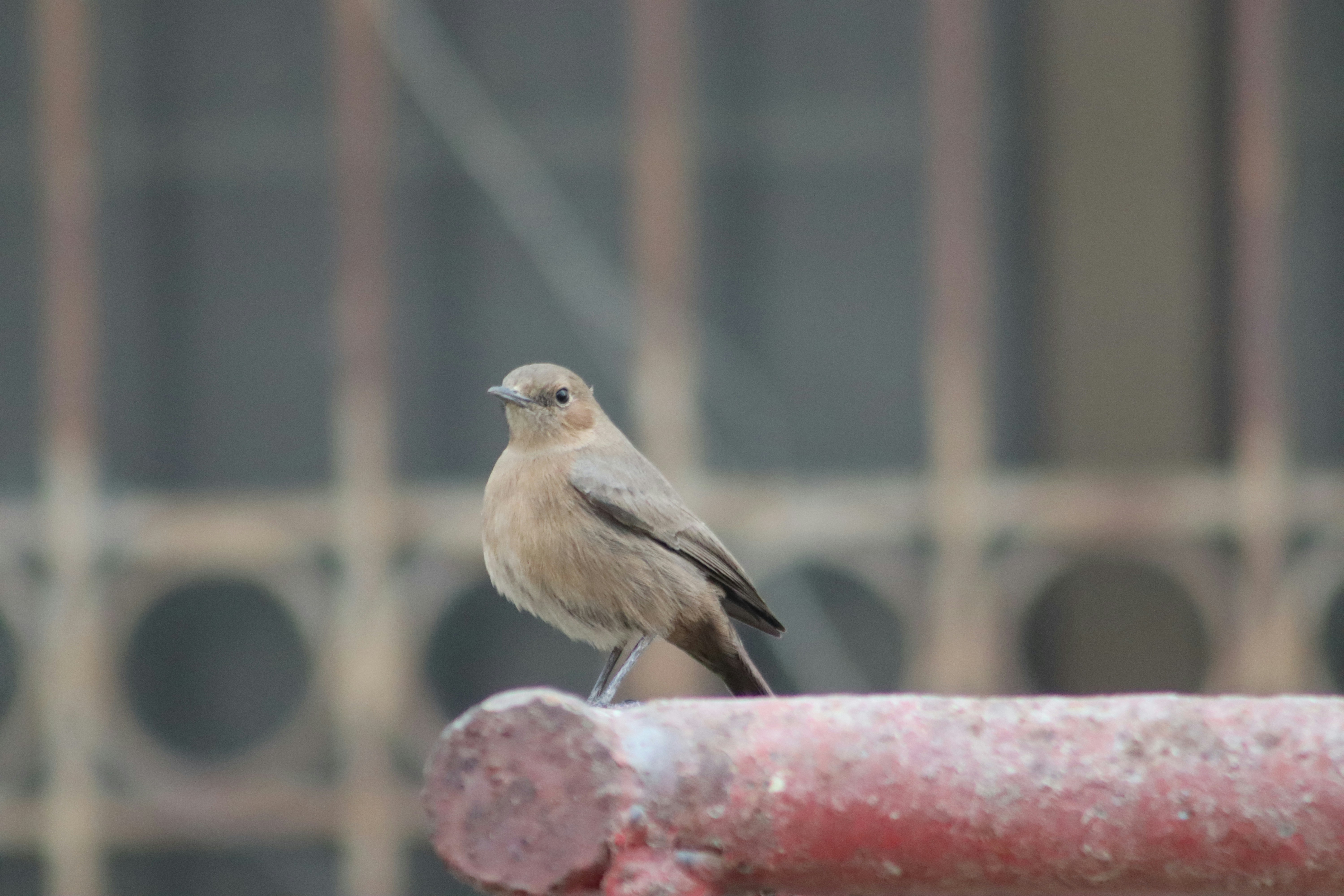 Photo by drphotographer152