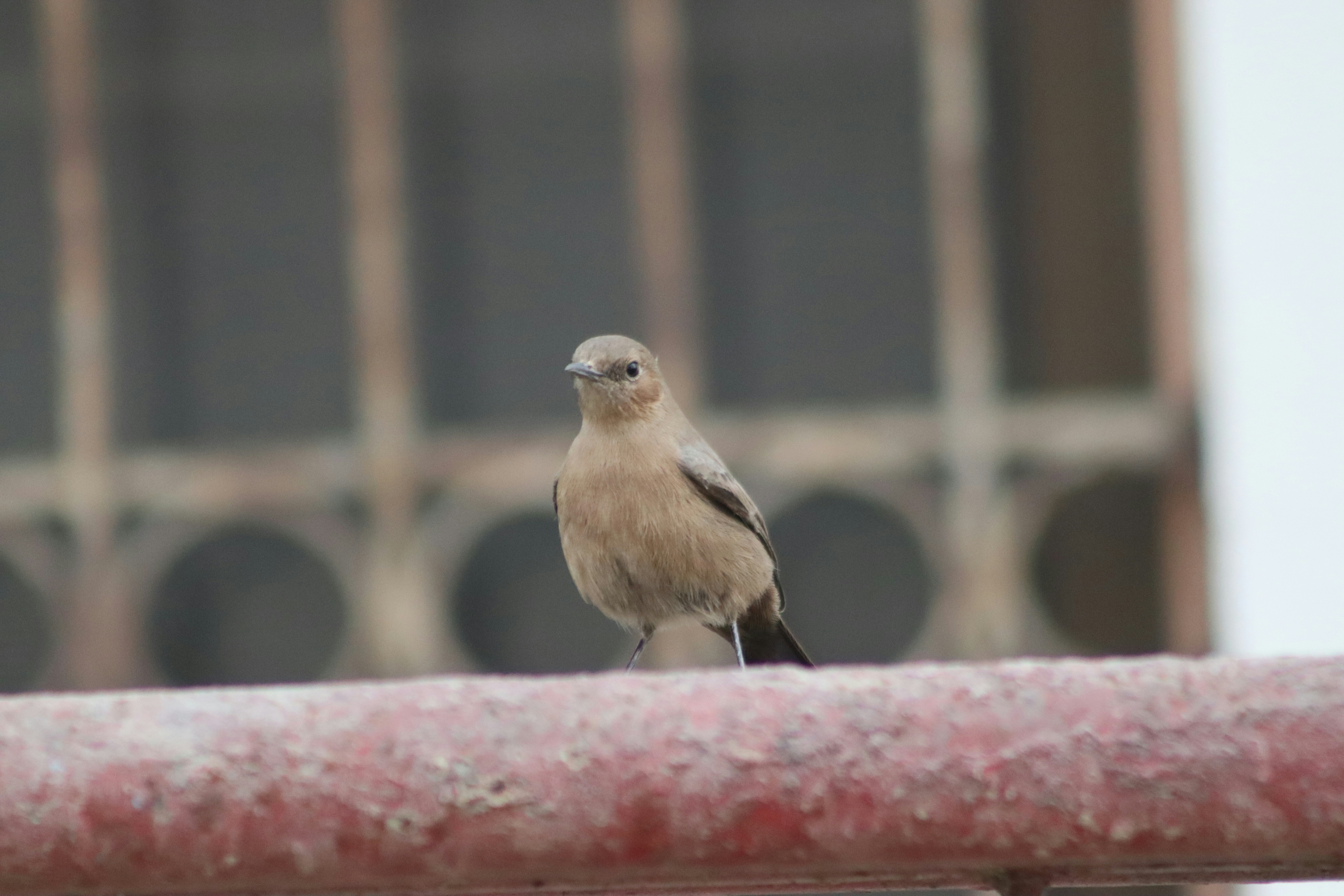 Photo by drphotographer152