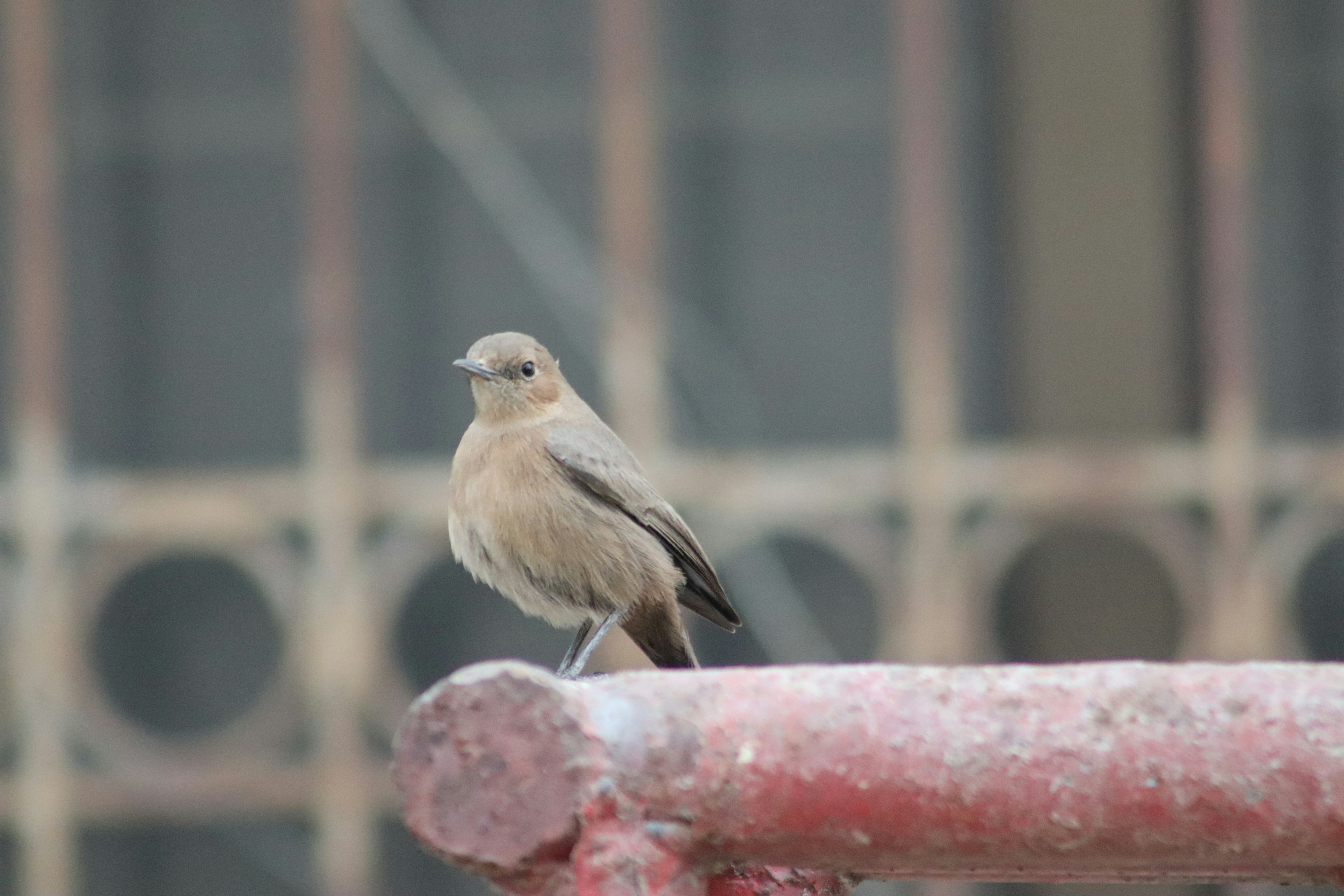 Photo by drphotographer152