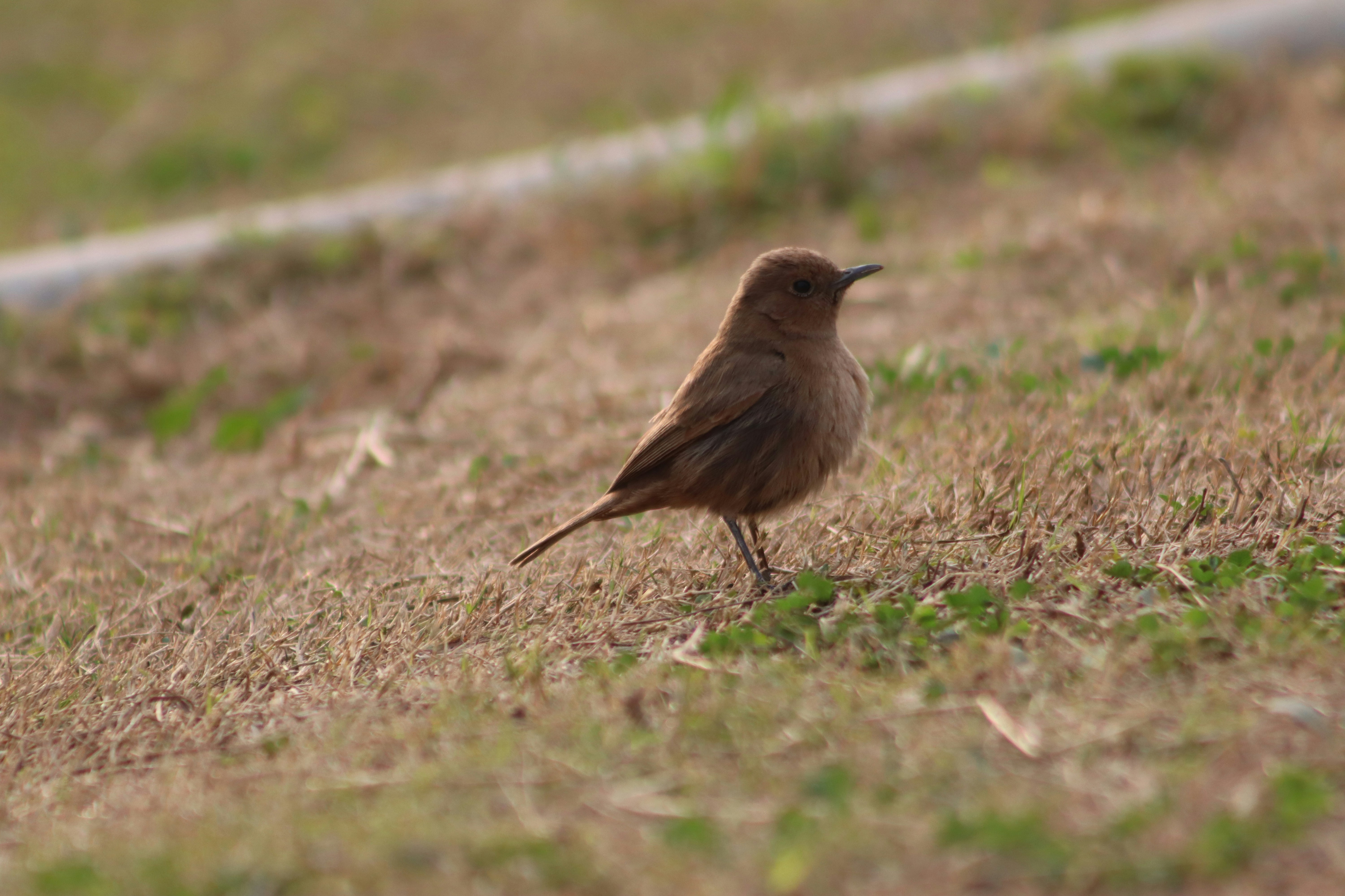 Photo by drphotographer152