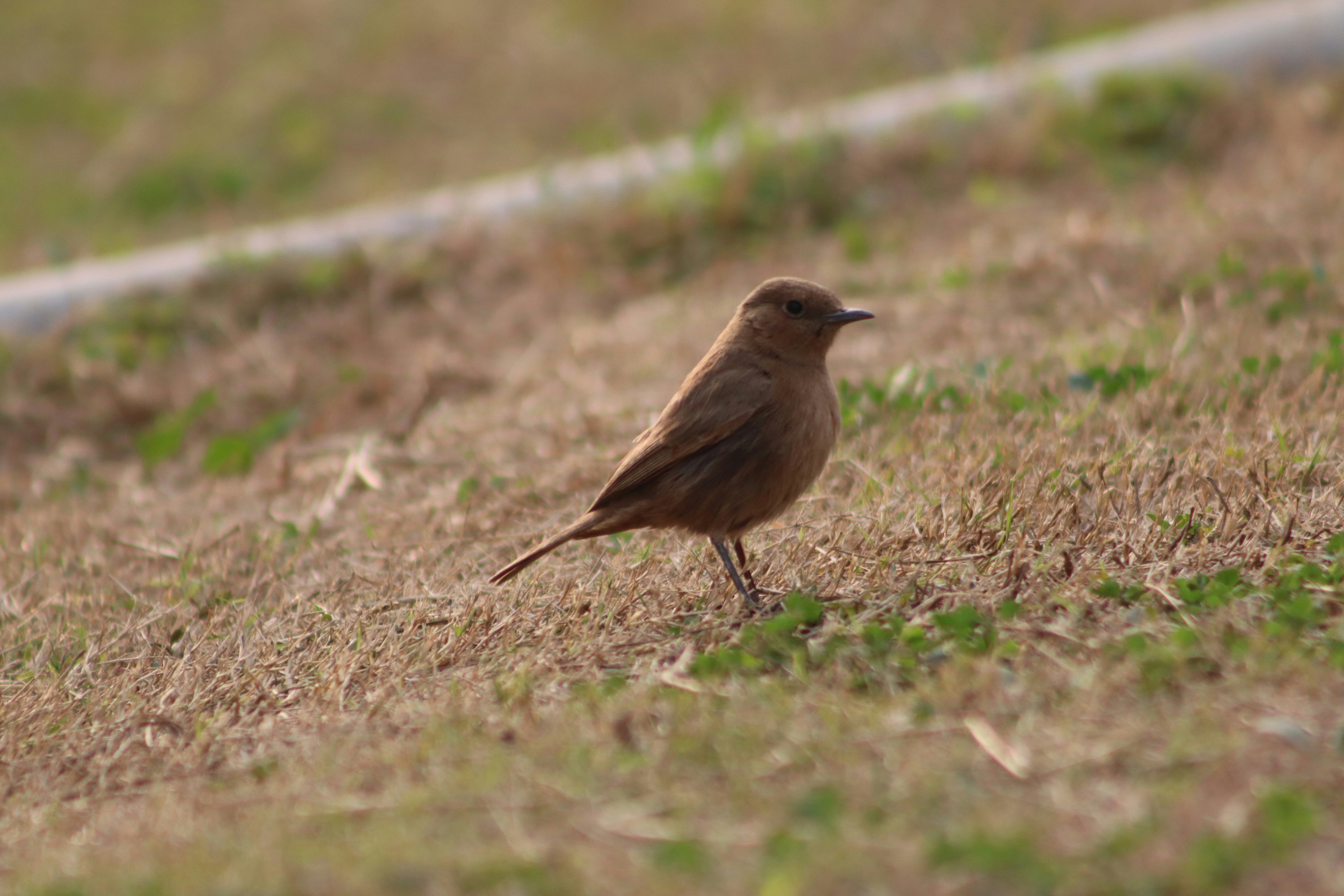 Photo by drphotographer152