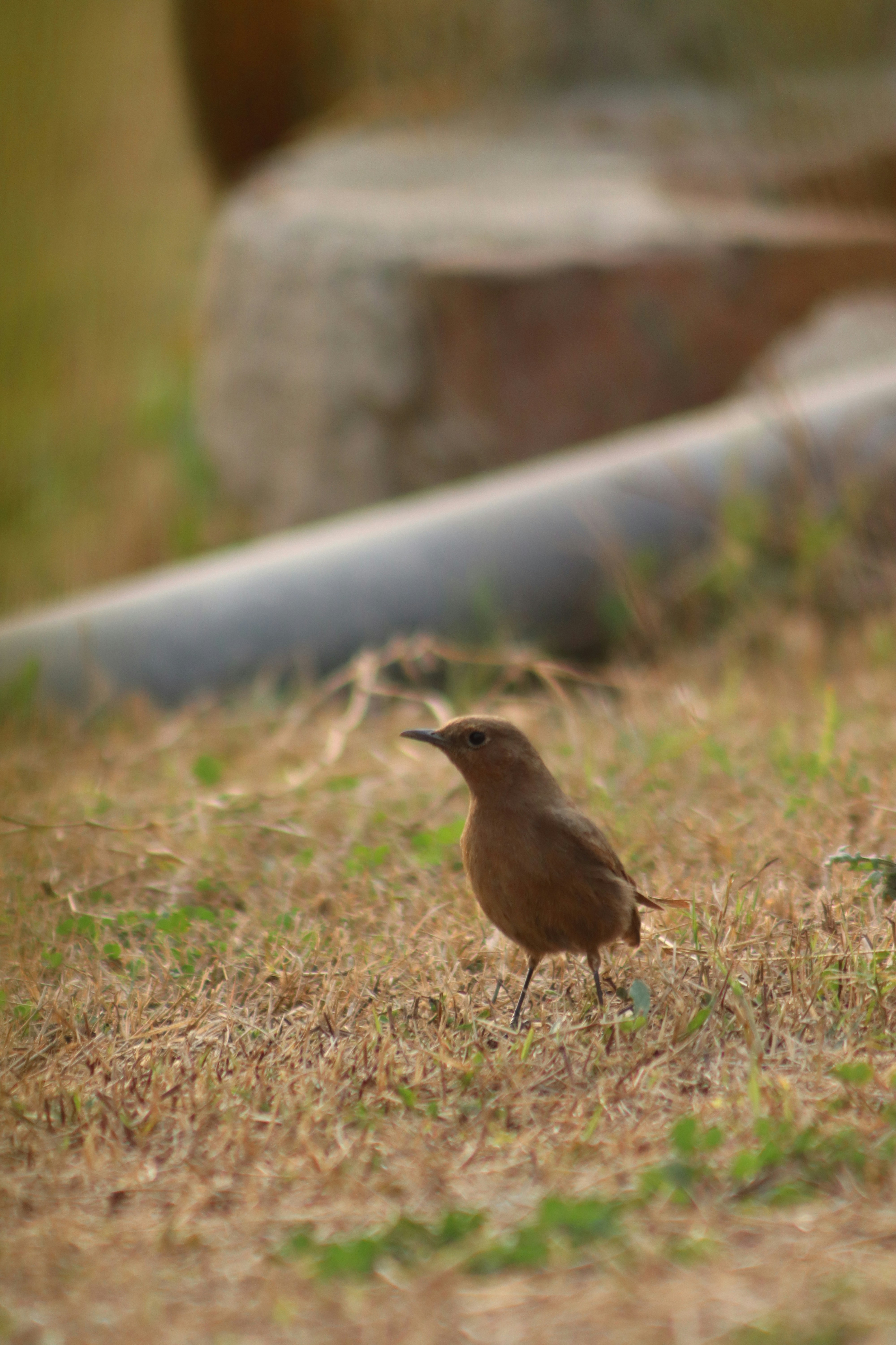 Photo by drphotographer152