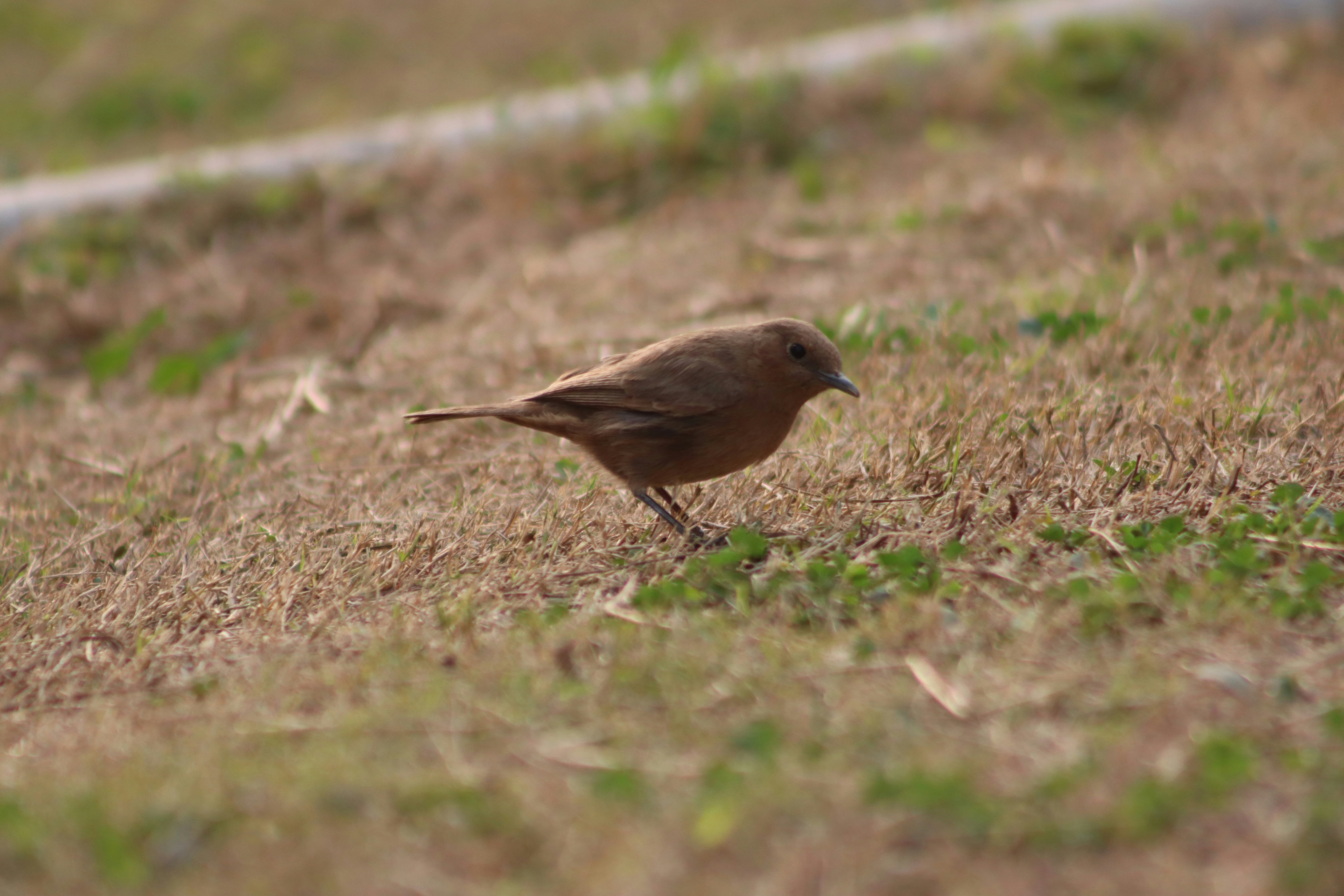 Photo by drphotographer152