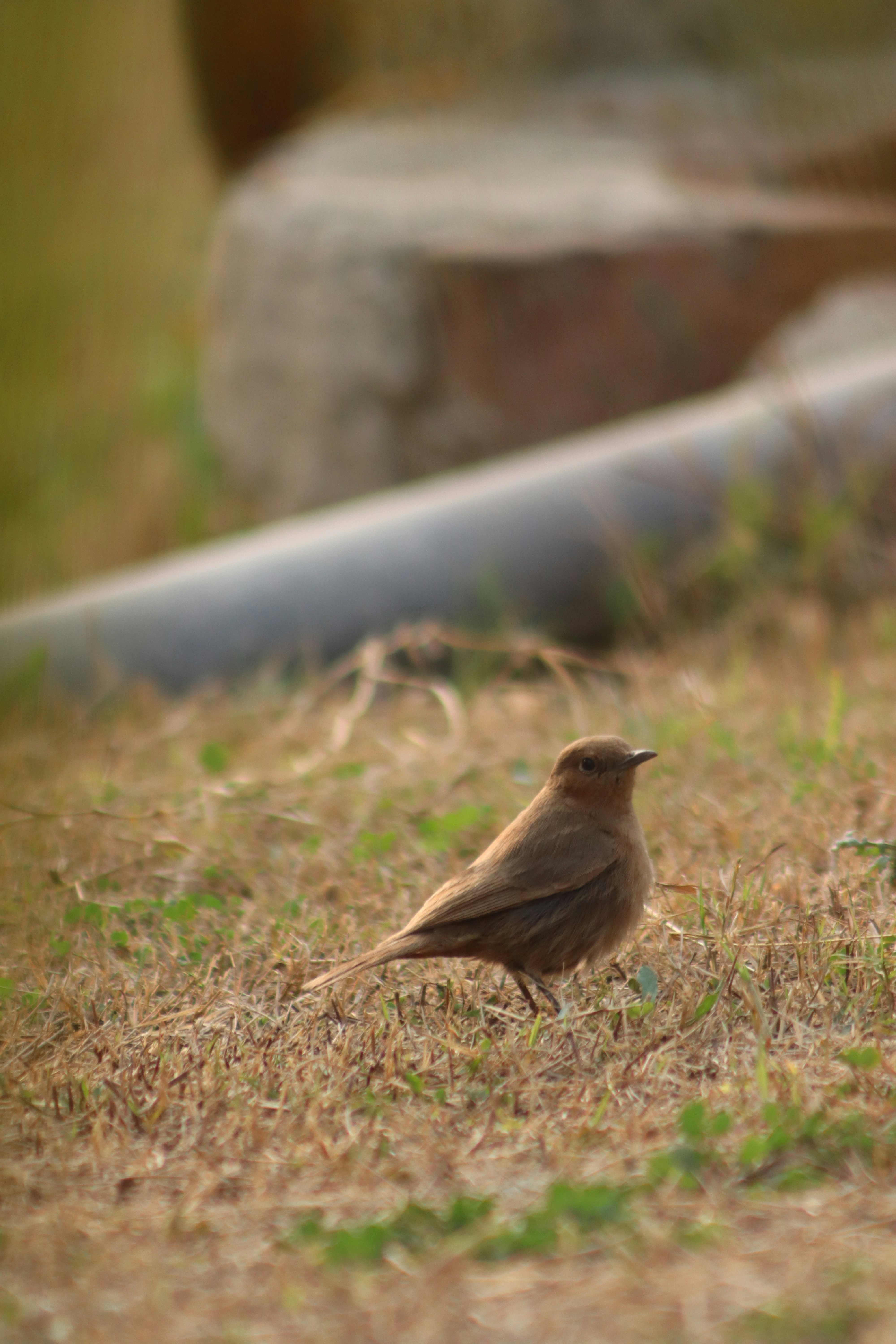 Photo by drphotographer152