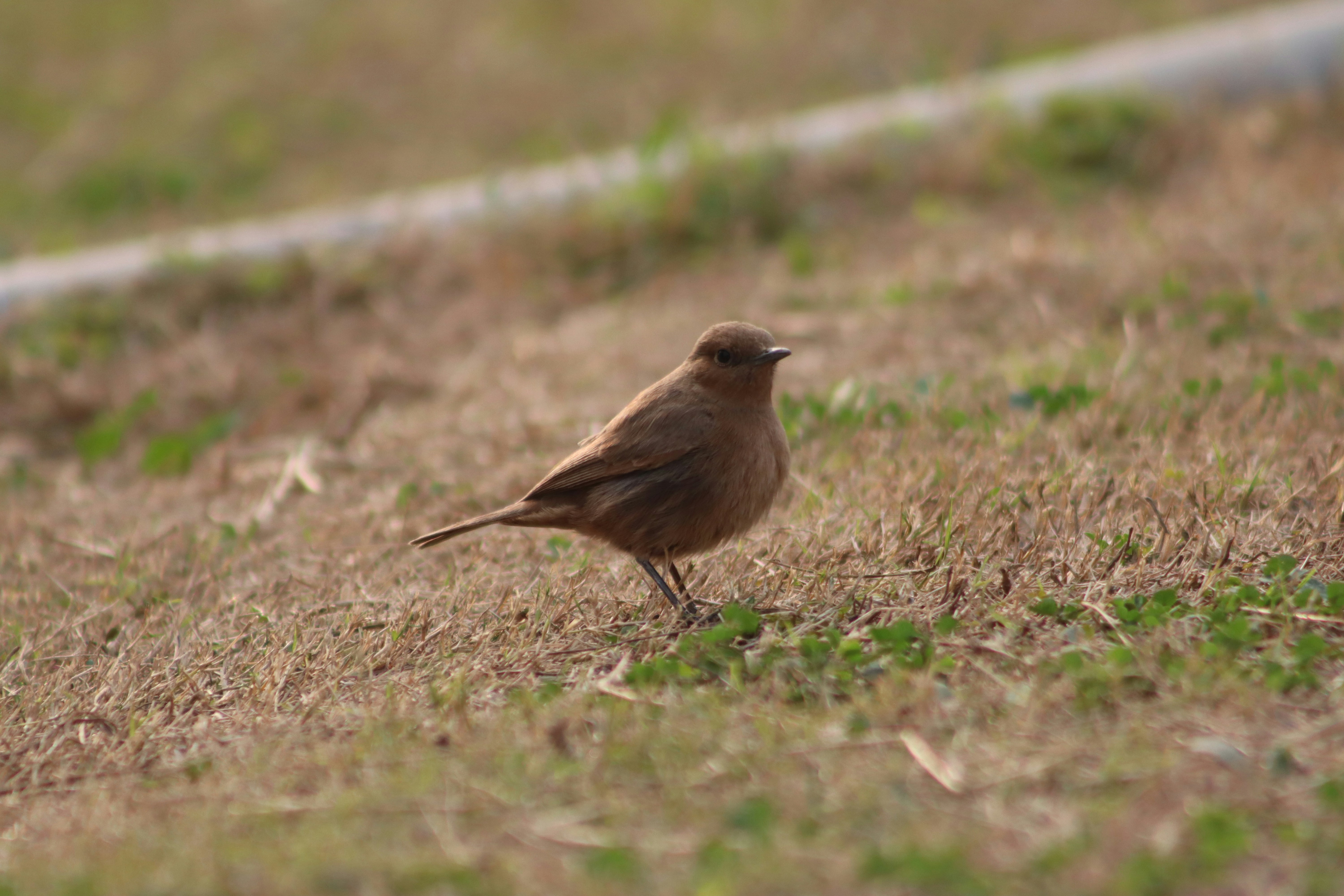 Photo by drphotographer152