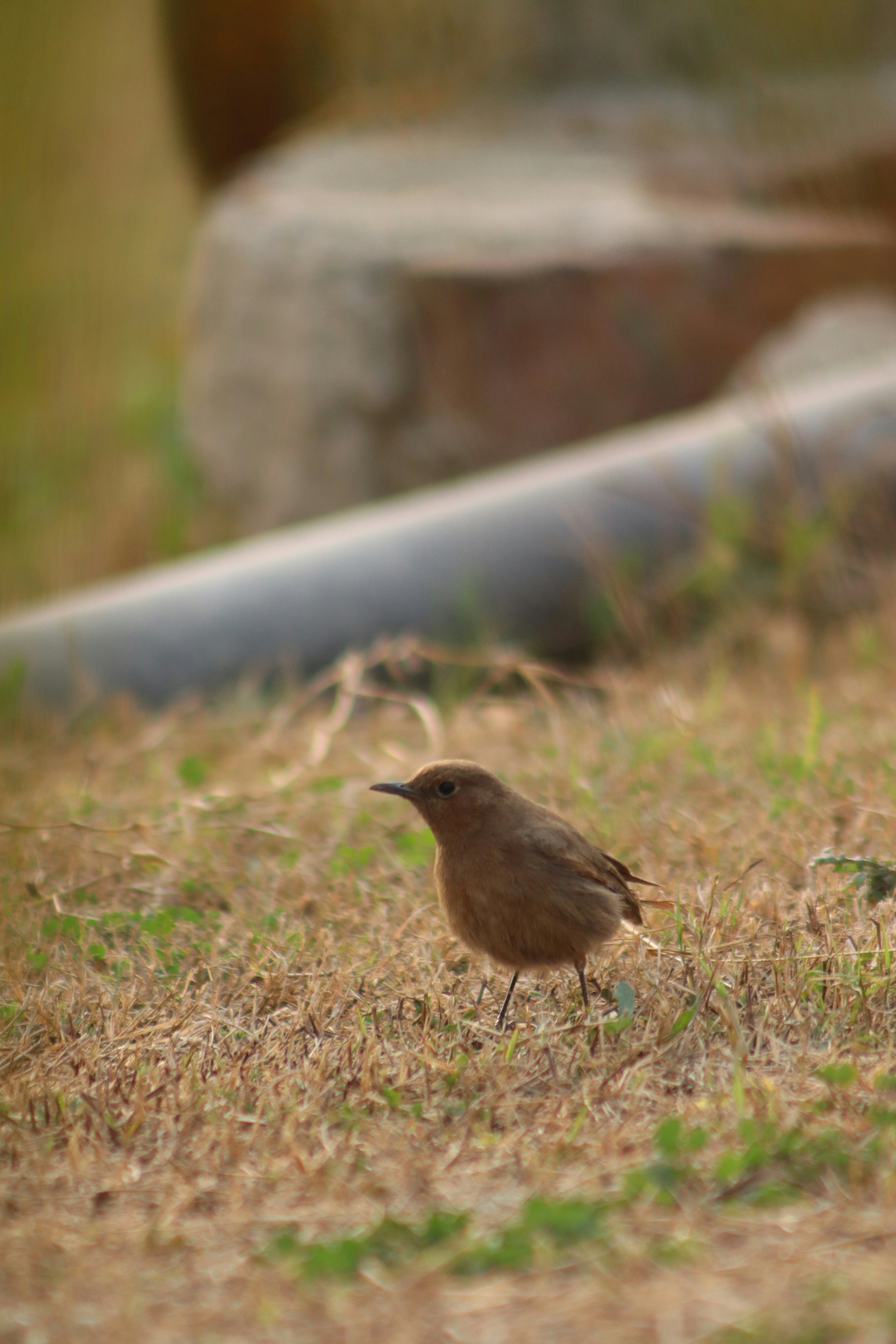 Photo by drphotographer152