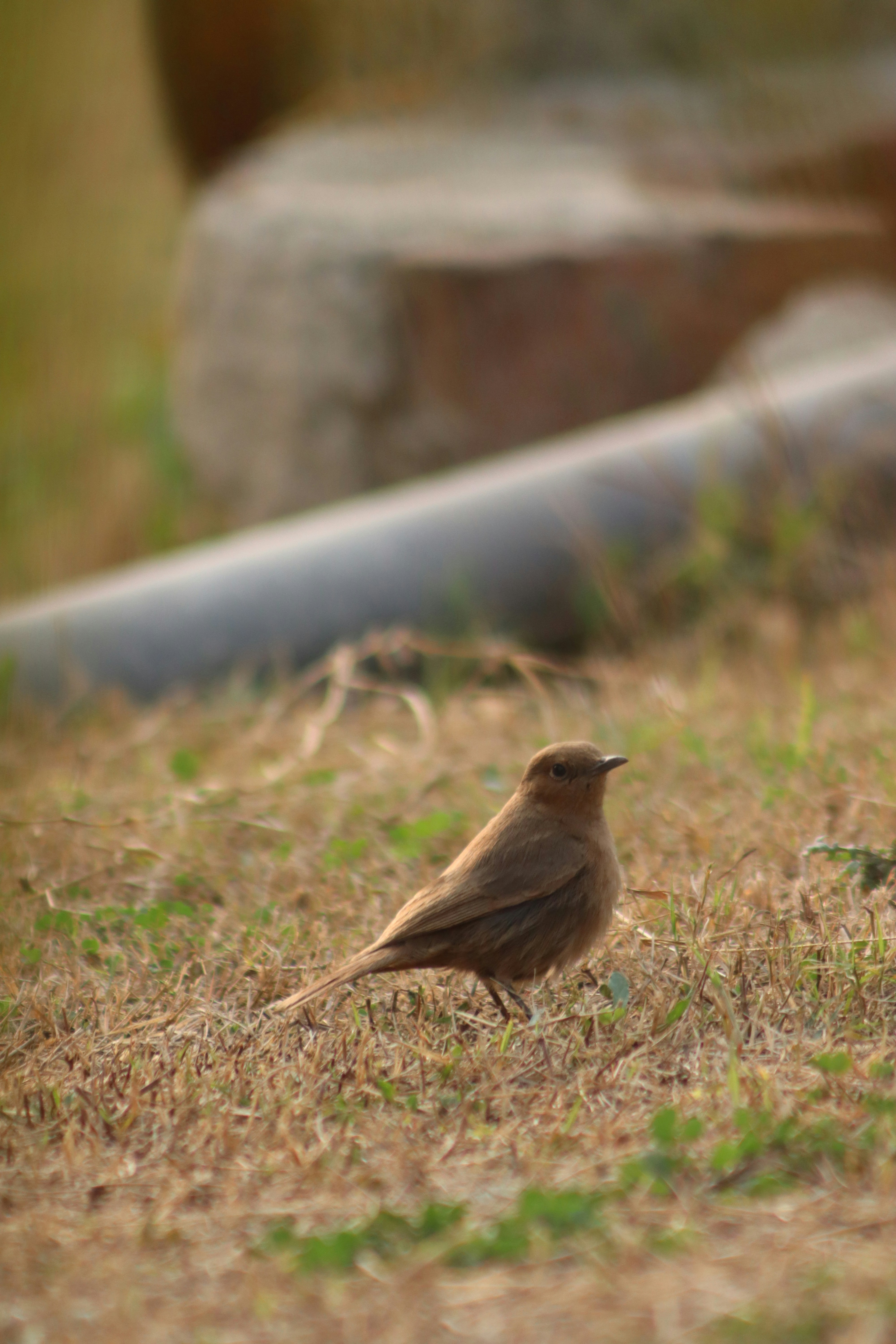 Photo by drphotographer152