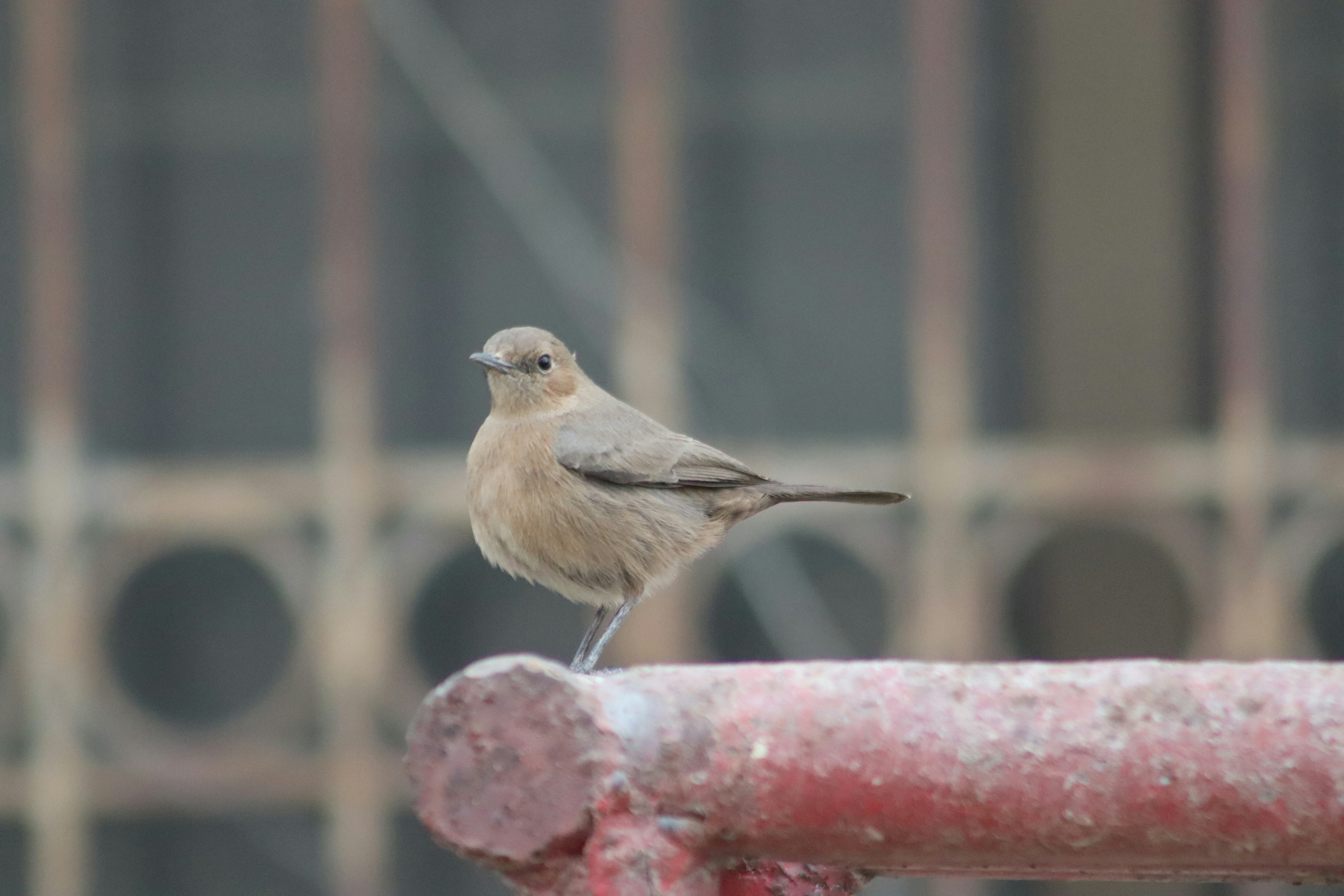 Photo by drphotographer152