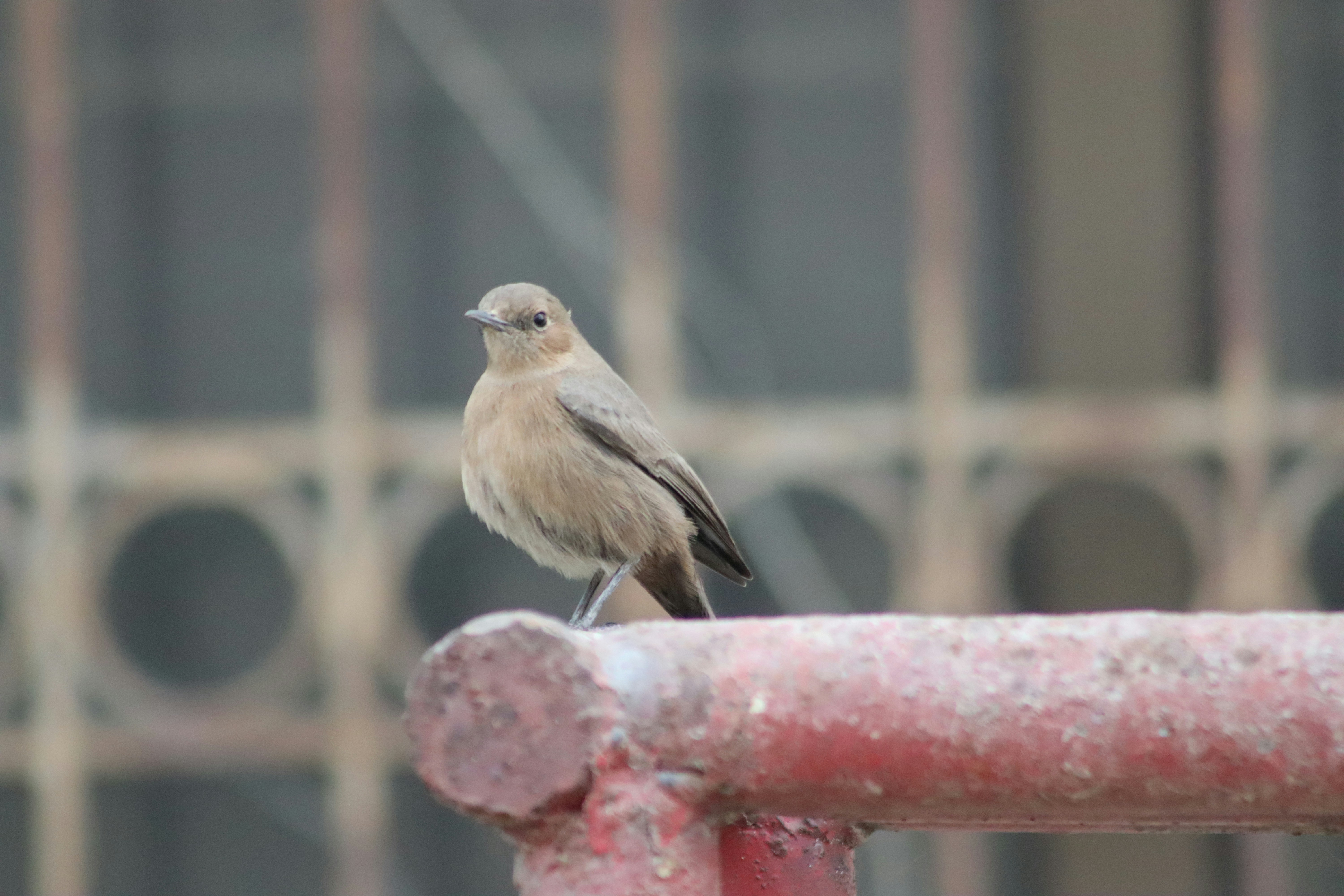 Photo by drphotographer152