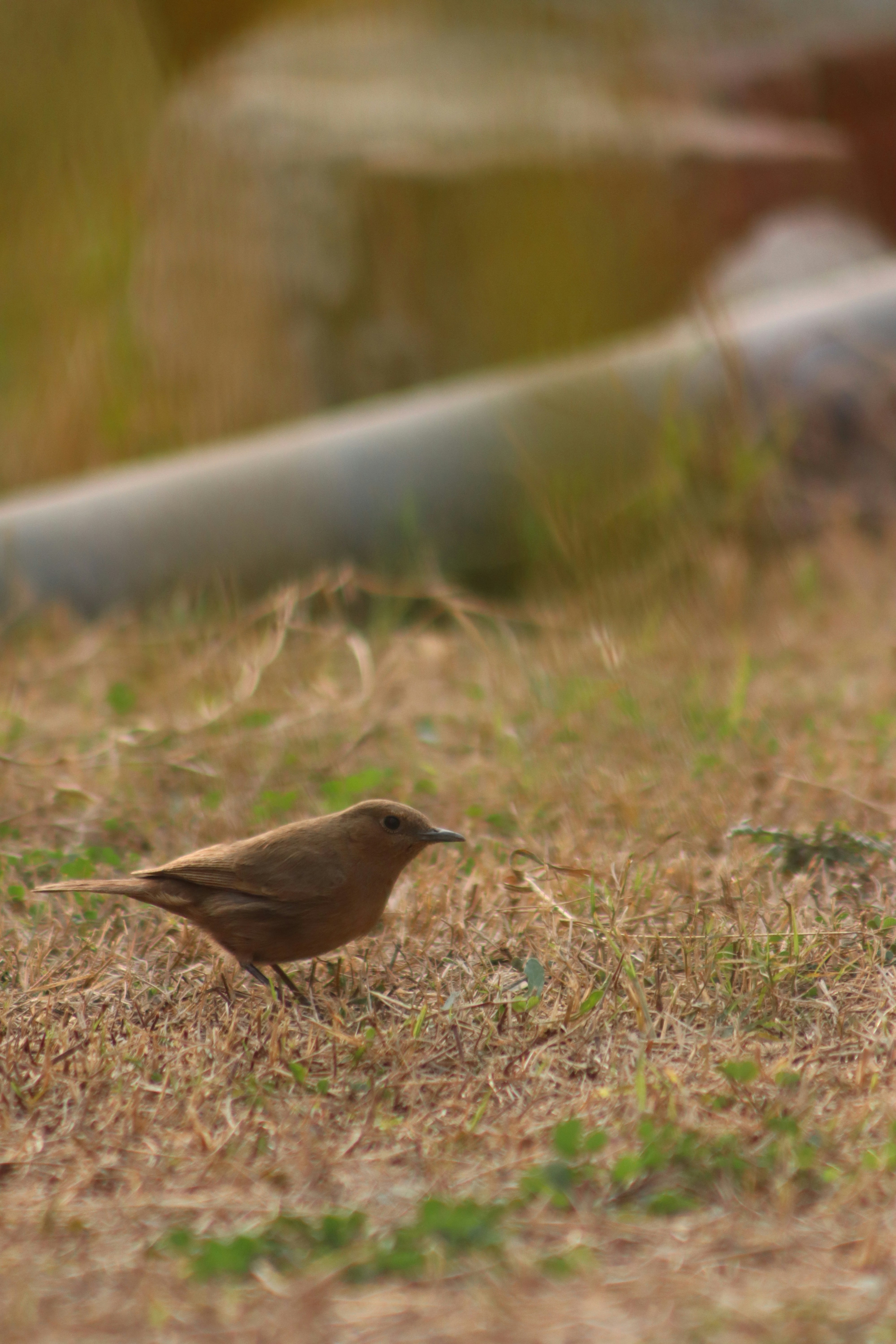 Photo by drphotographer152