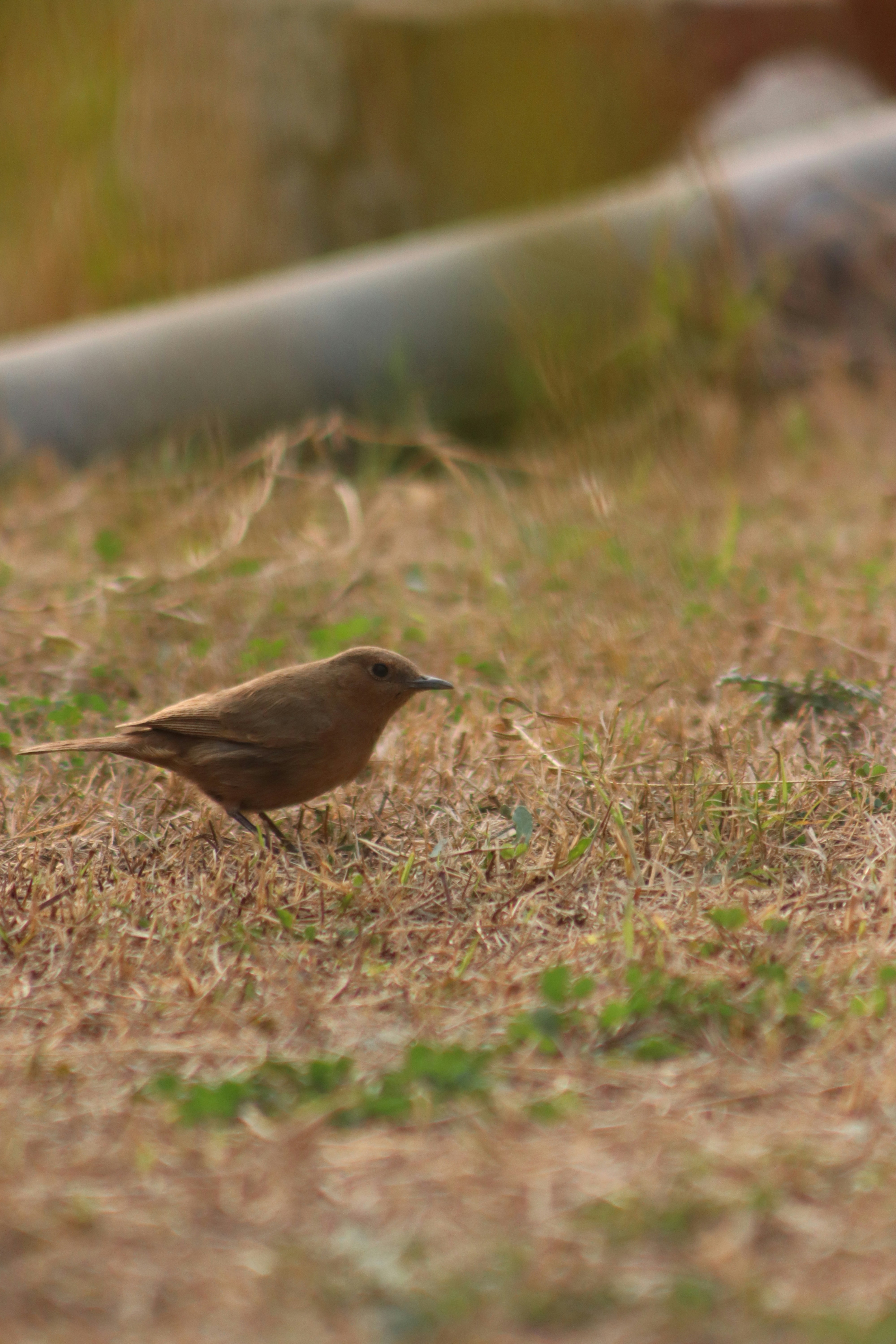 Photo by drphotographer152