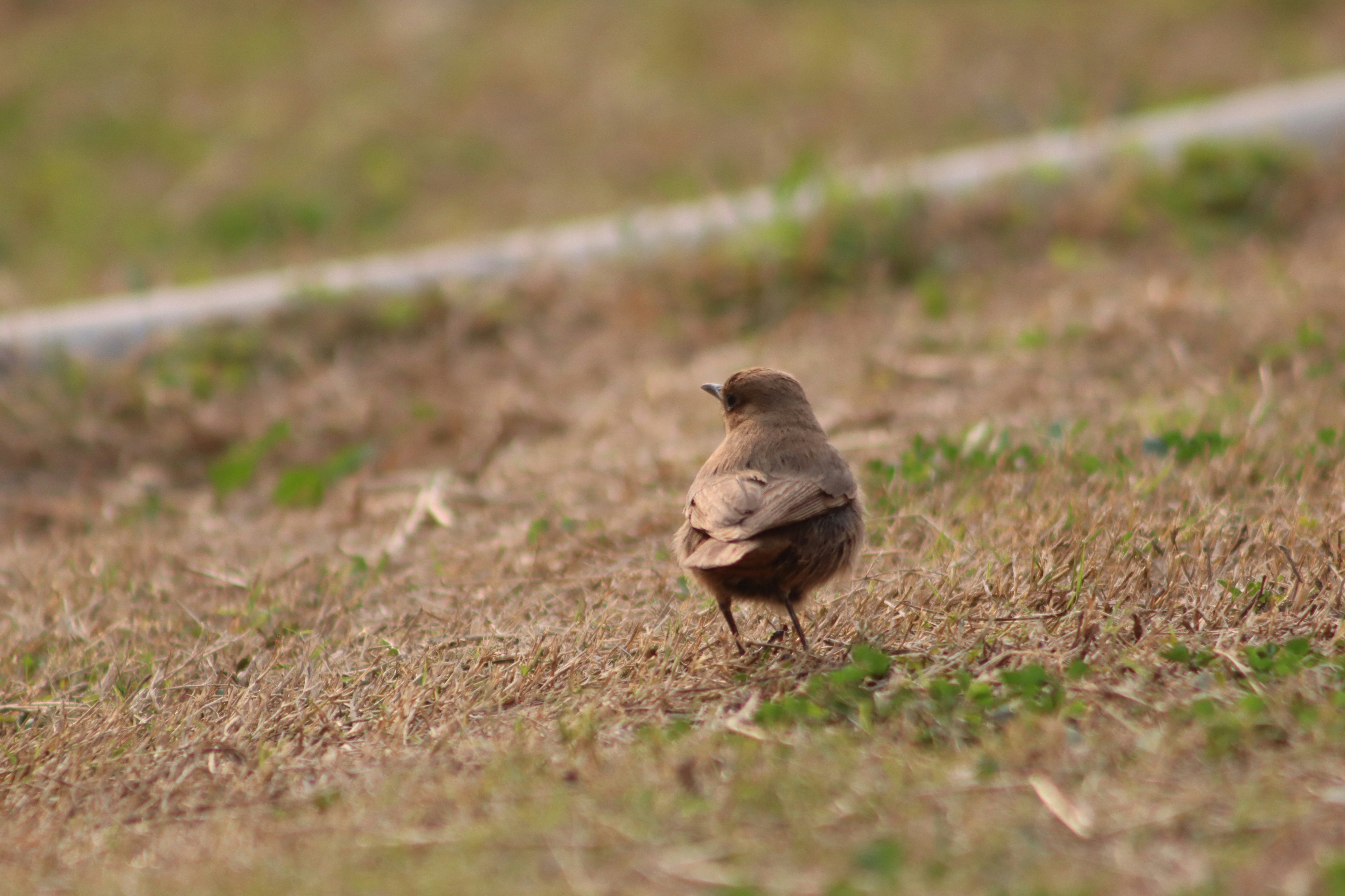 Photo by drphotographer152