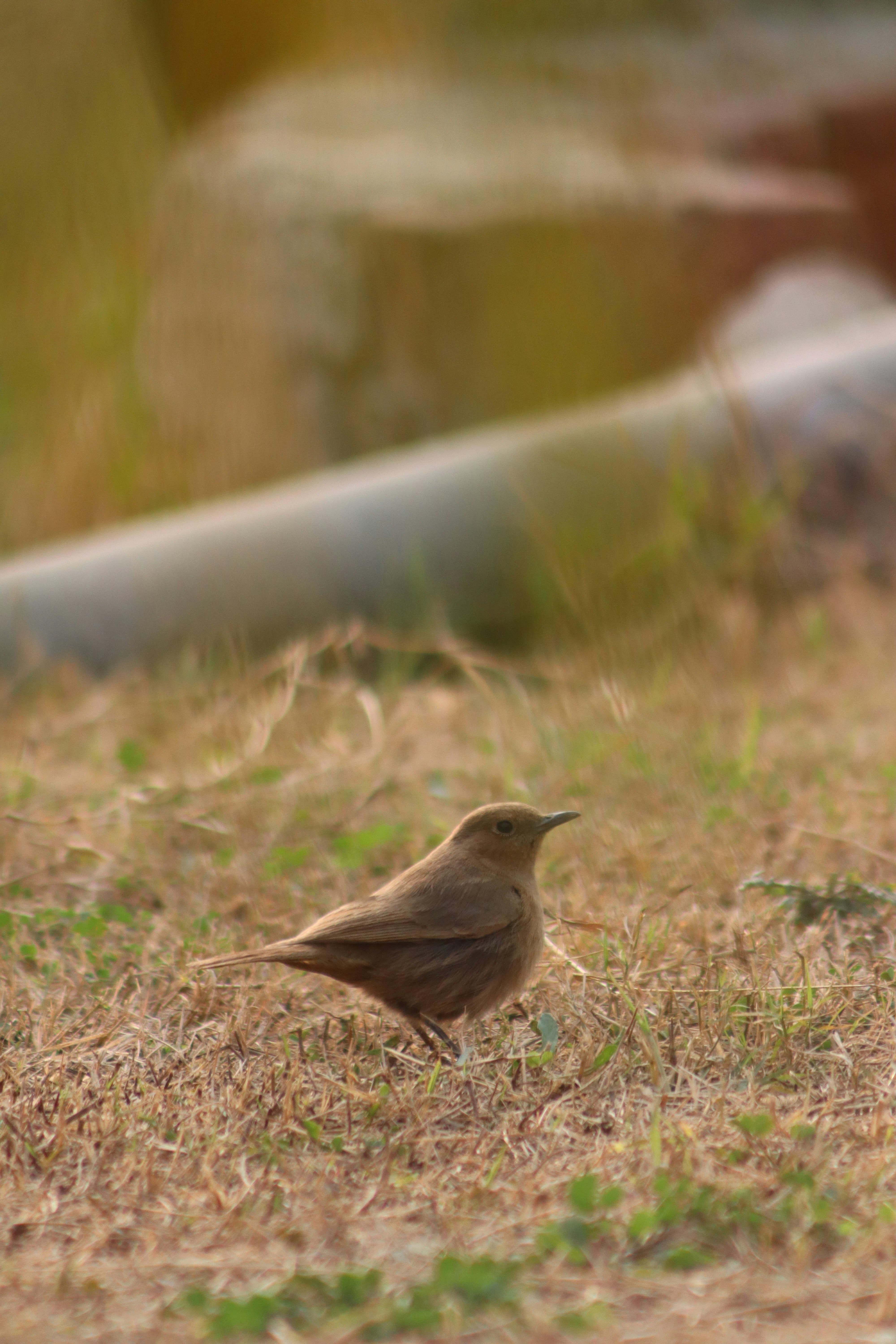 Photo by drphotographer152