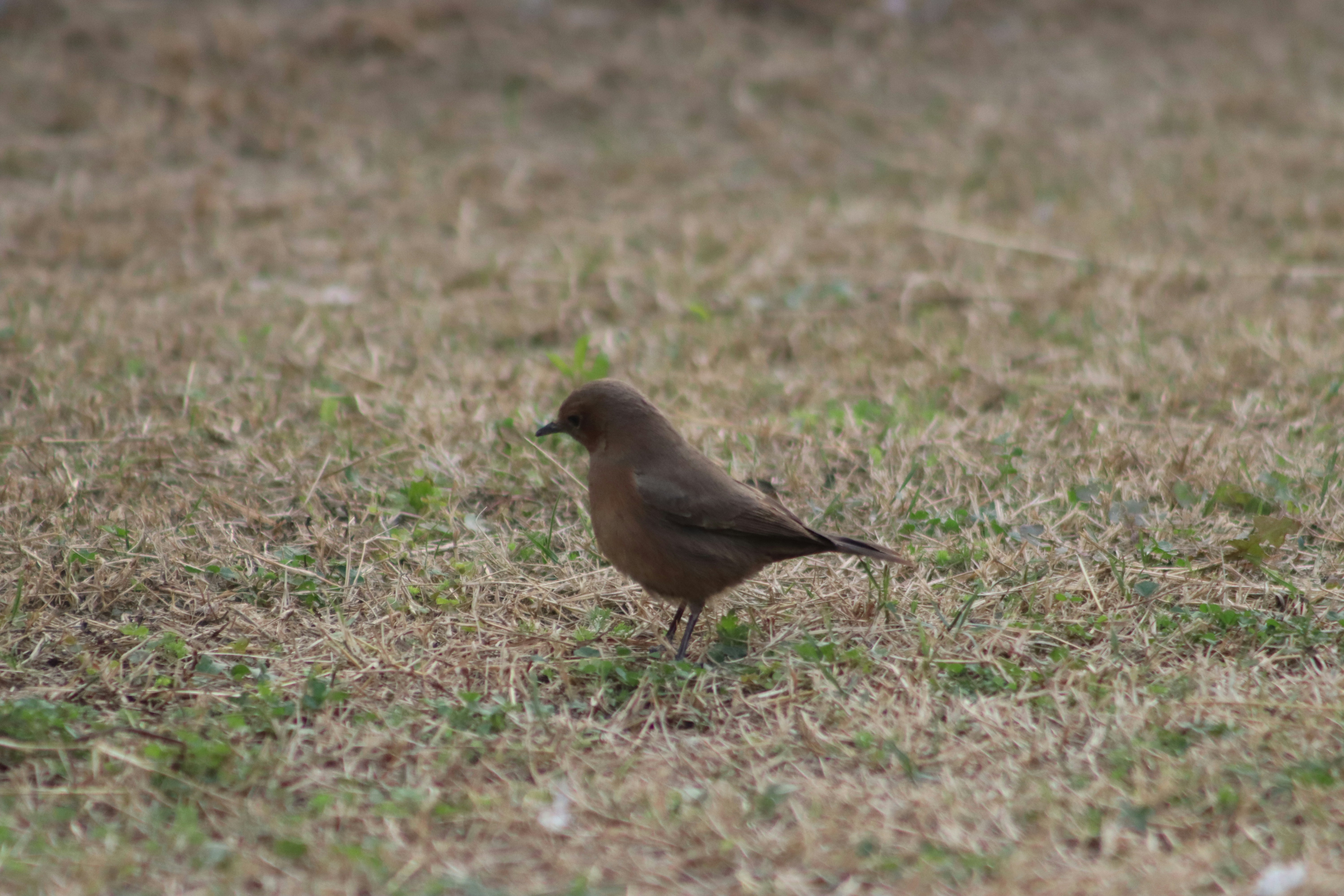 Photo by drphotographer152