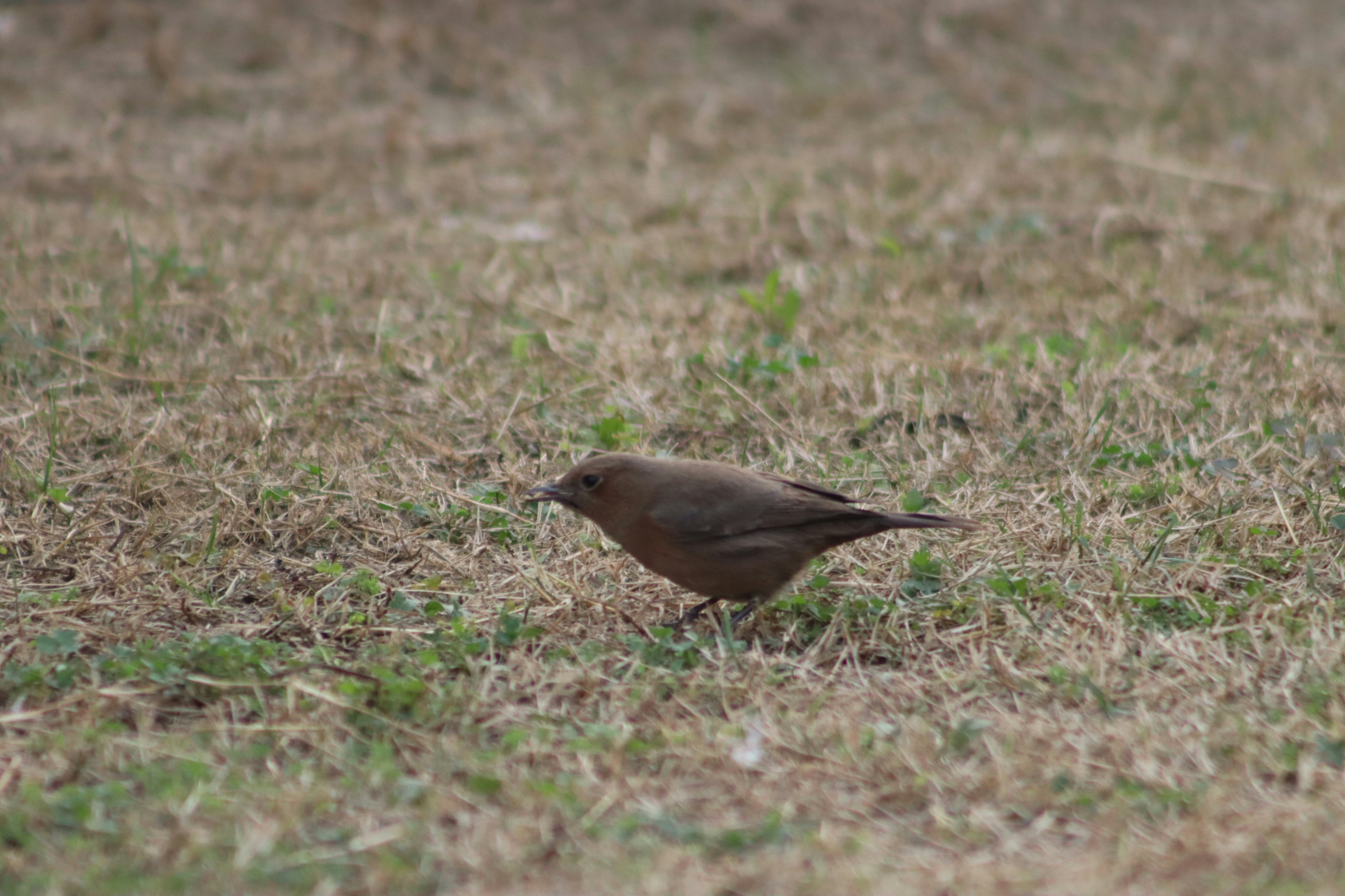 Photo by drphotographer152