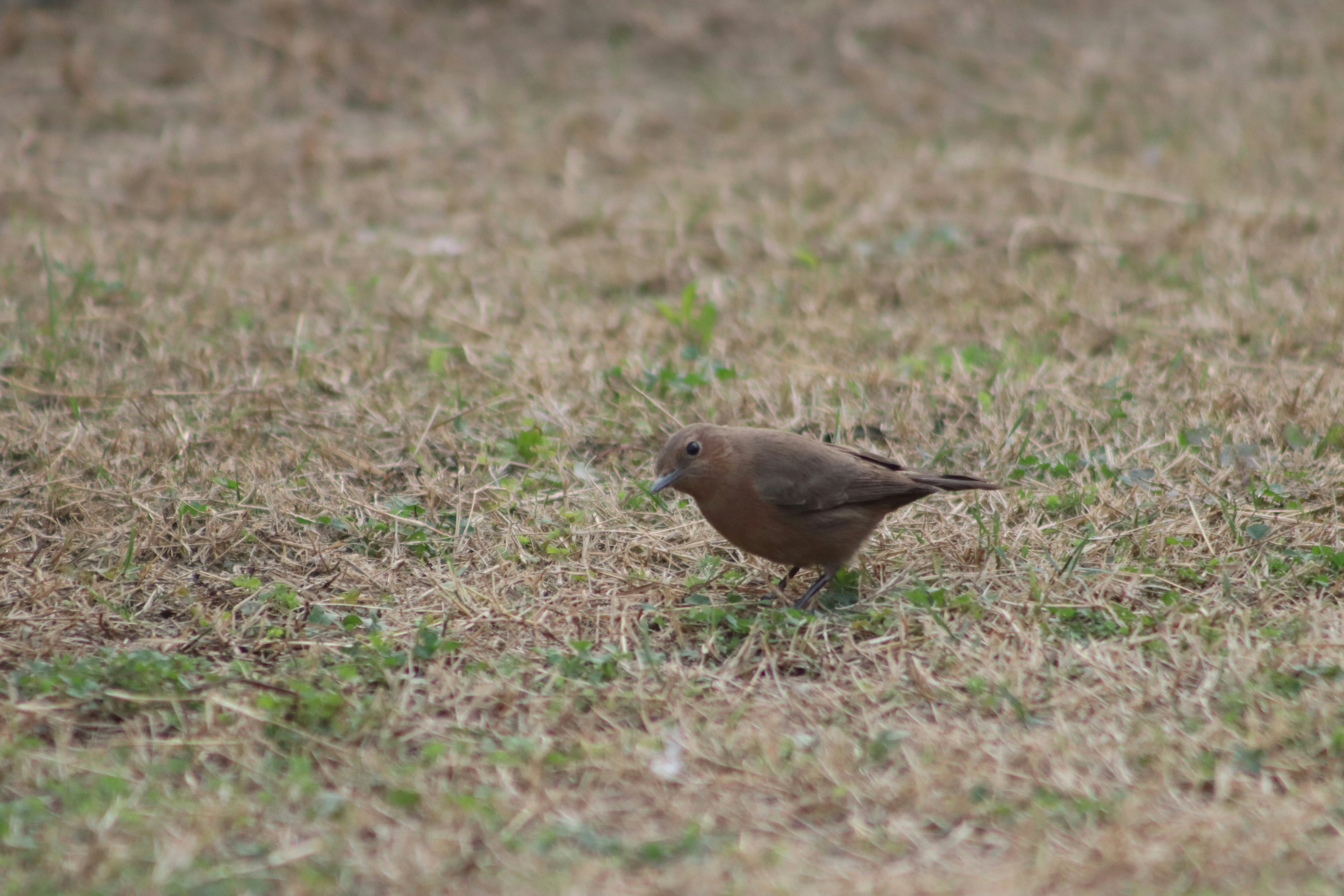 Photo by drphotographer152