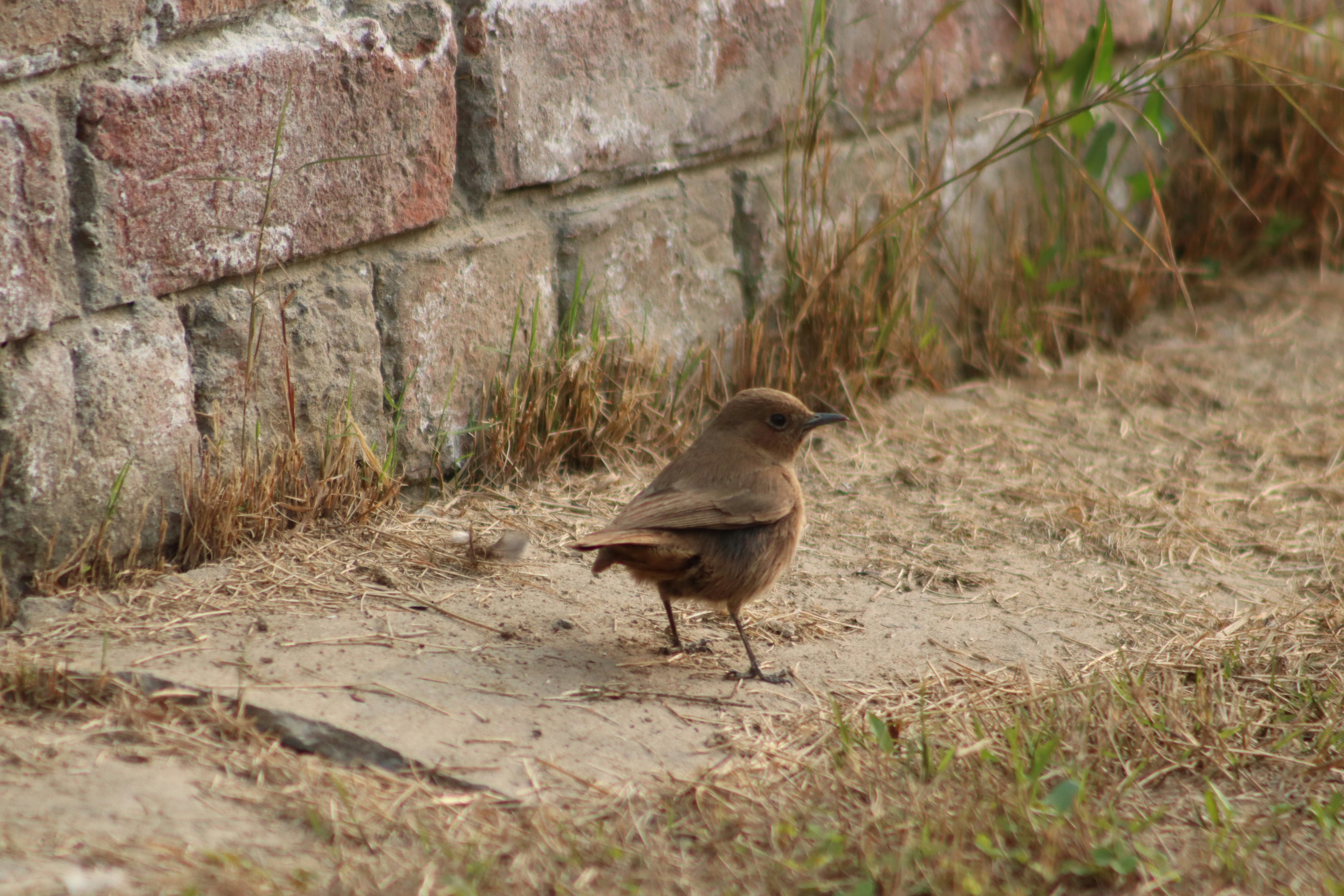 Photo by drphotographer152