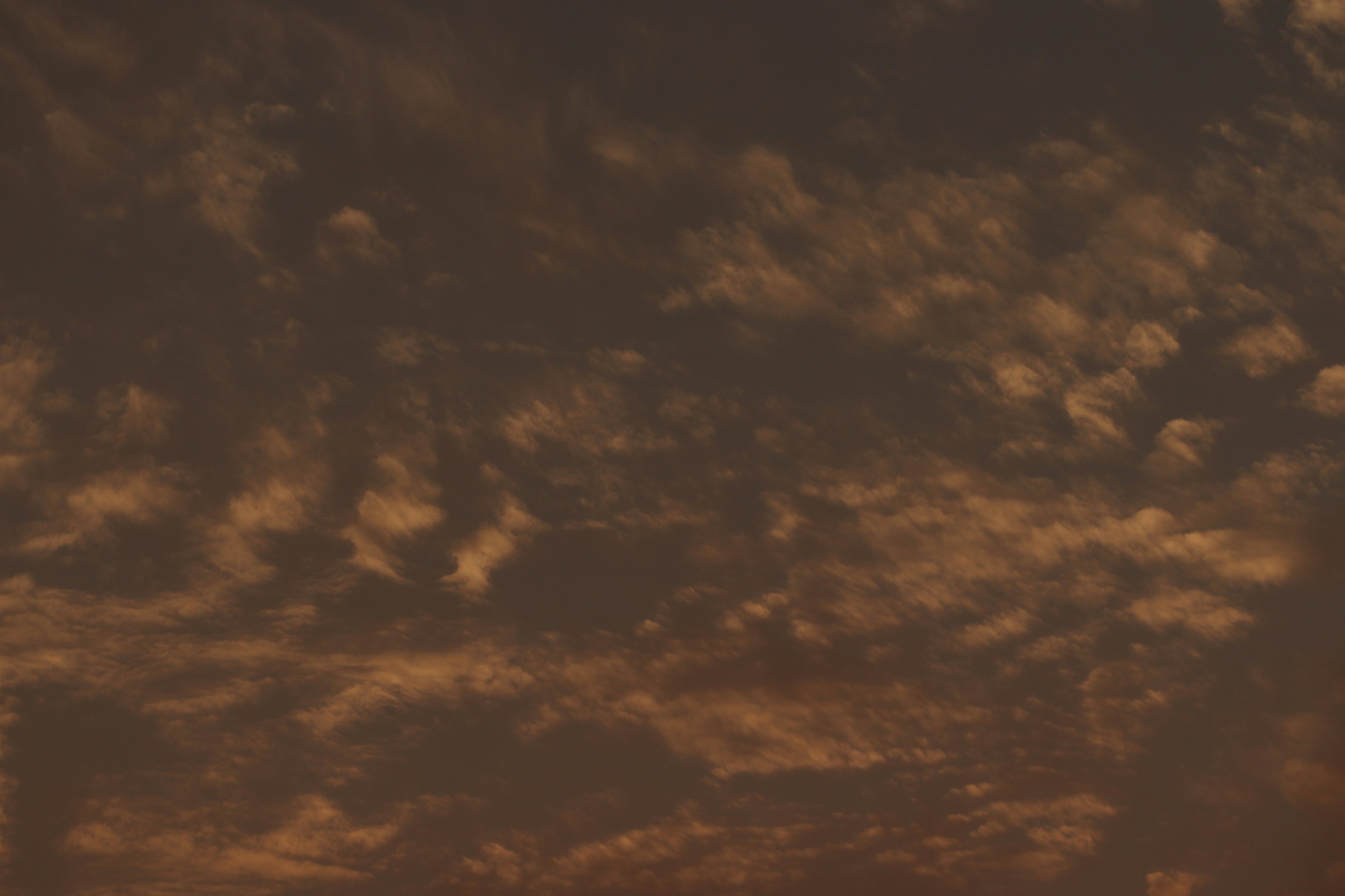 Photo by drphotographer152