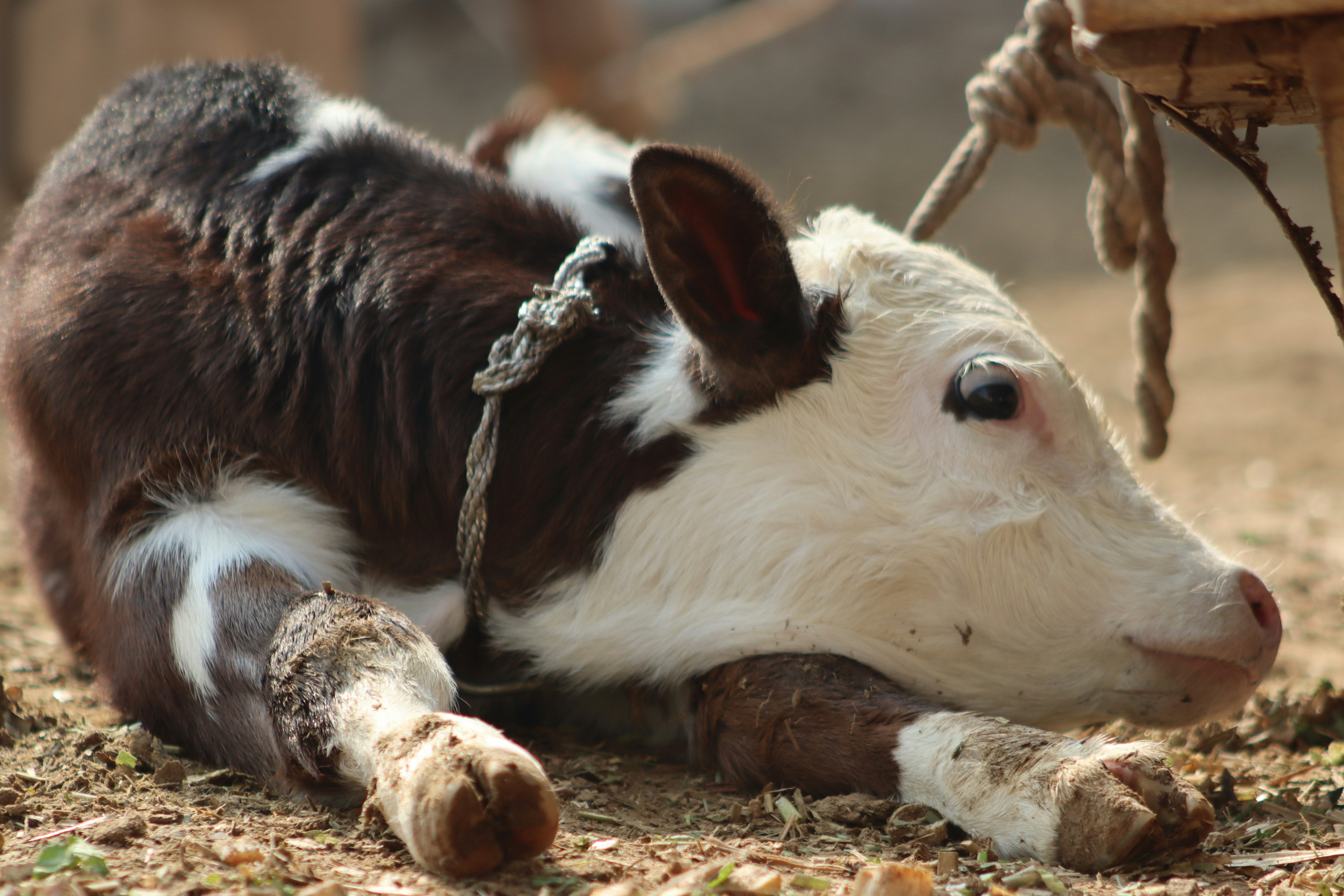 Photo by drphotographer152