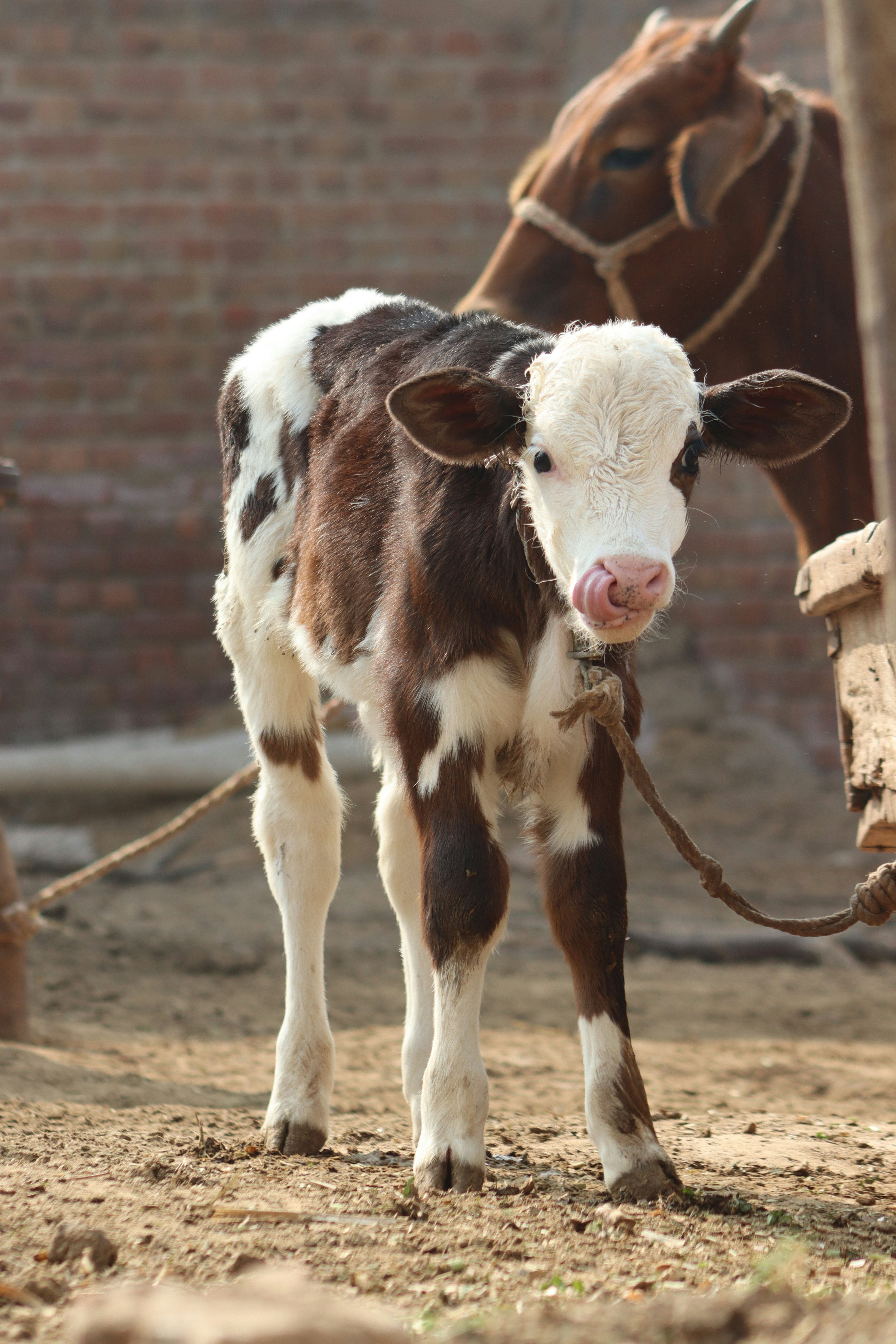 Photo by drphotographer152