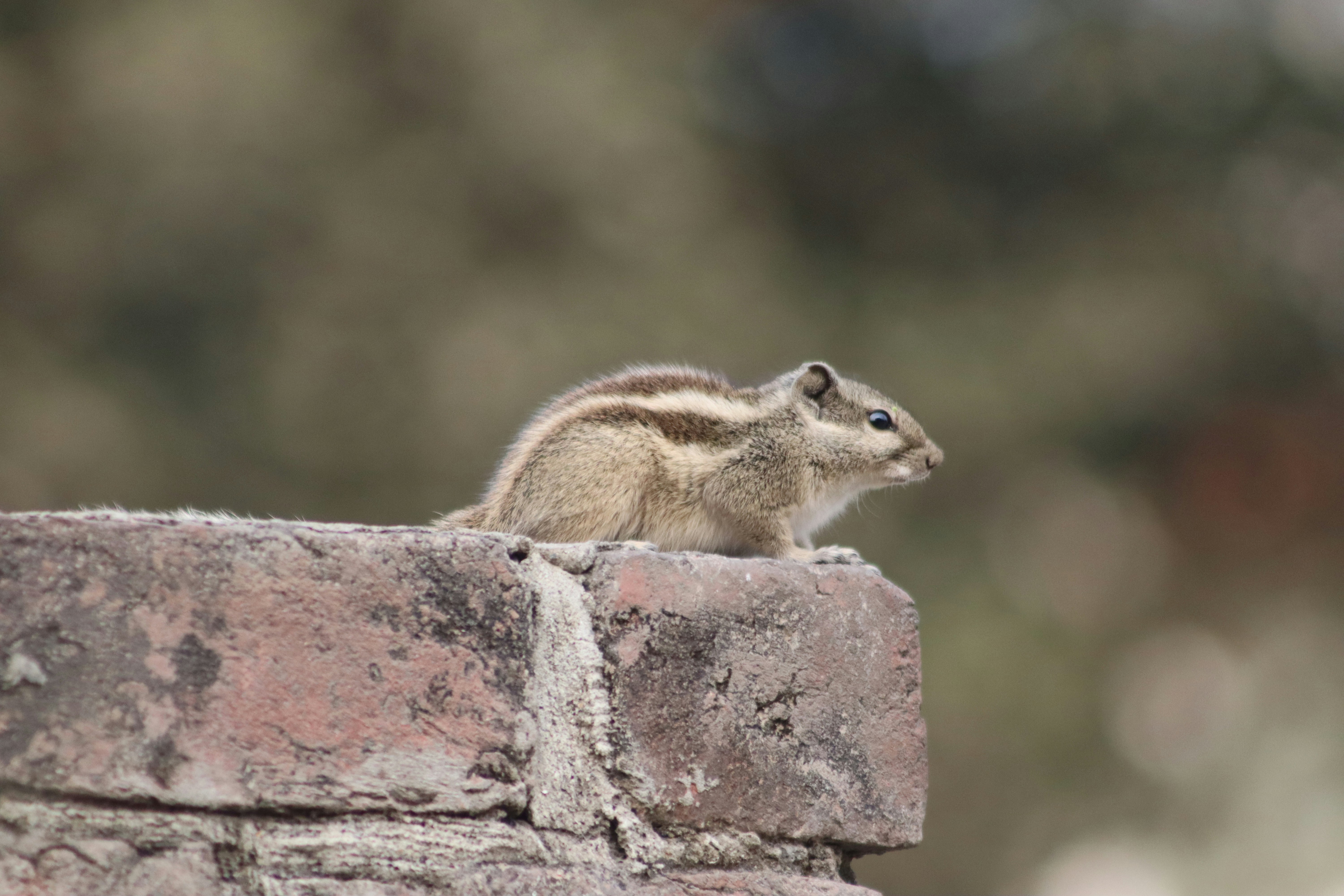 Photo by drphotographer152