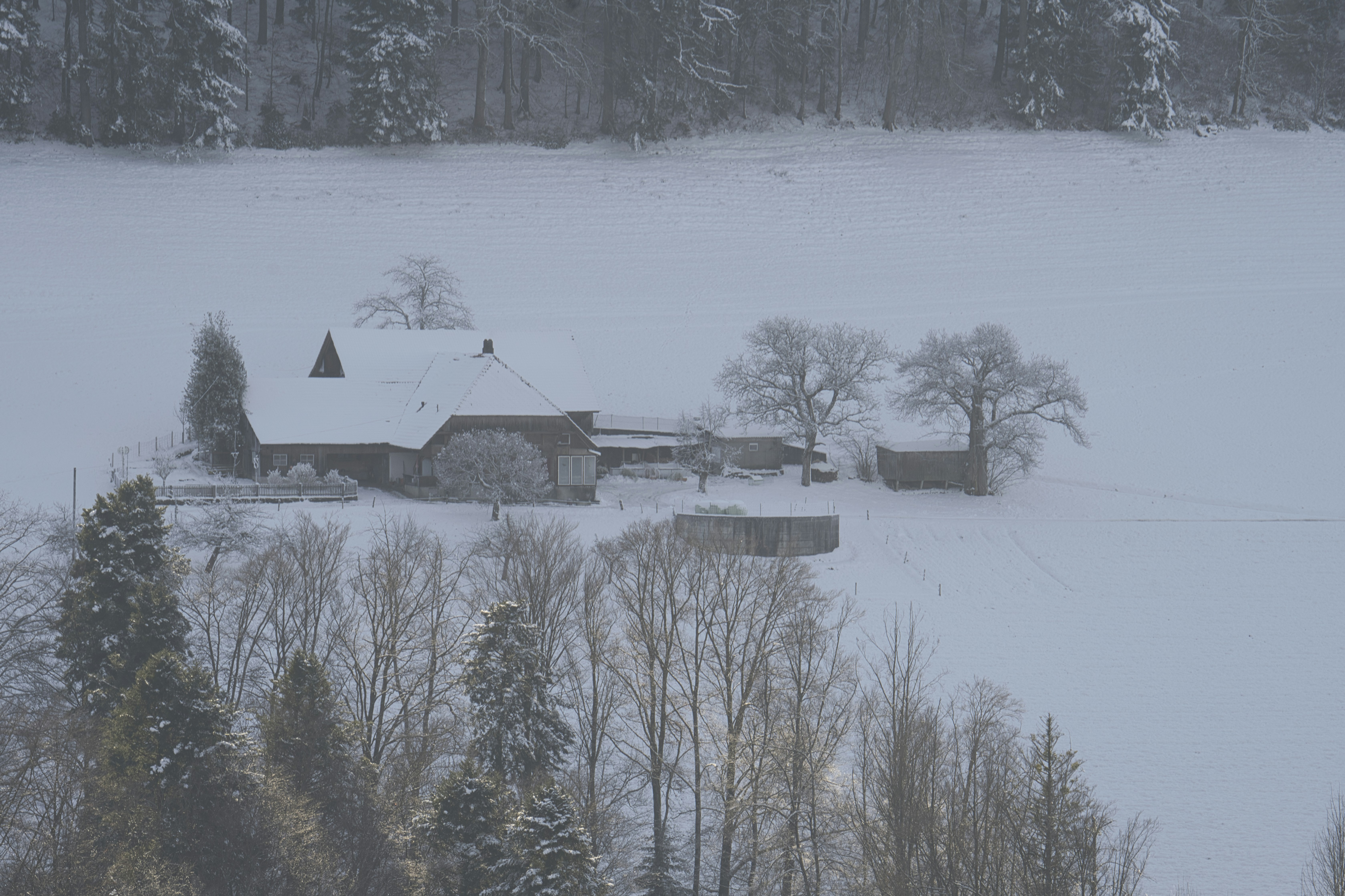 A house in the middle of a snowy field