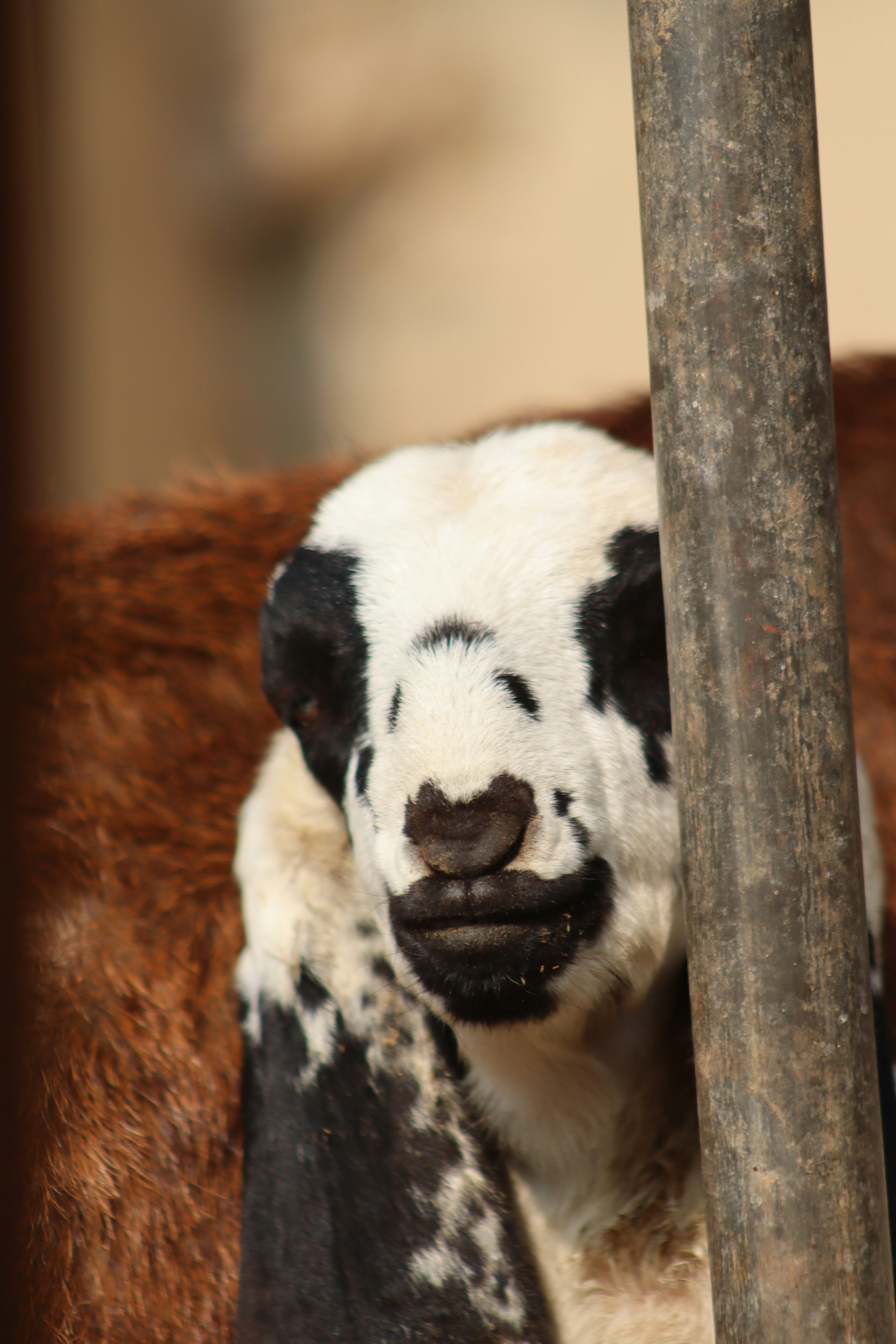 Photo by drphotographer152