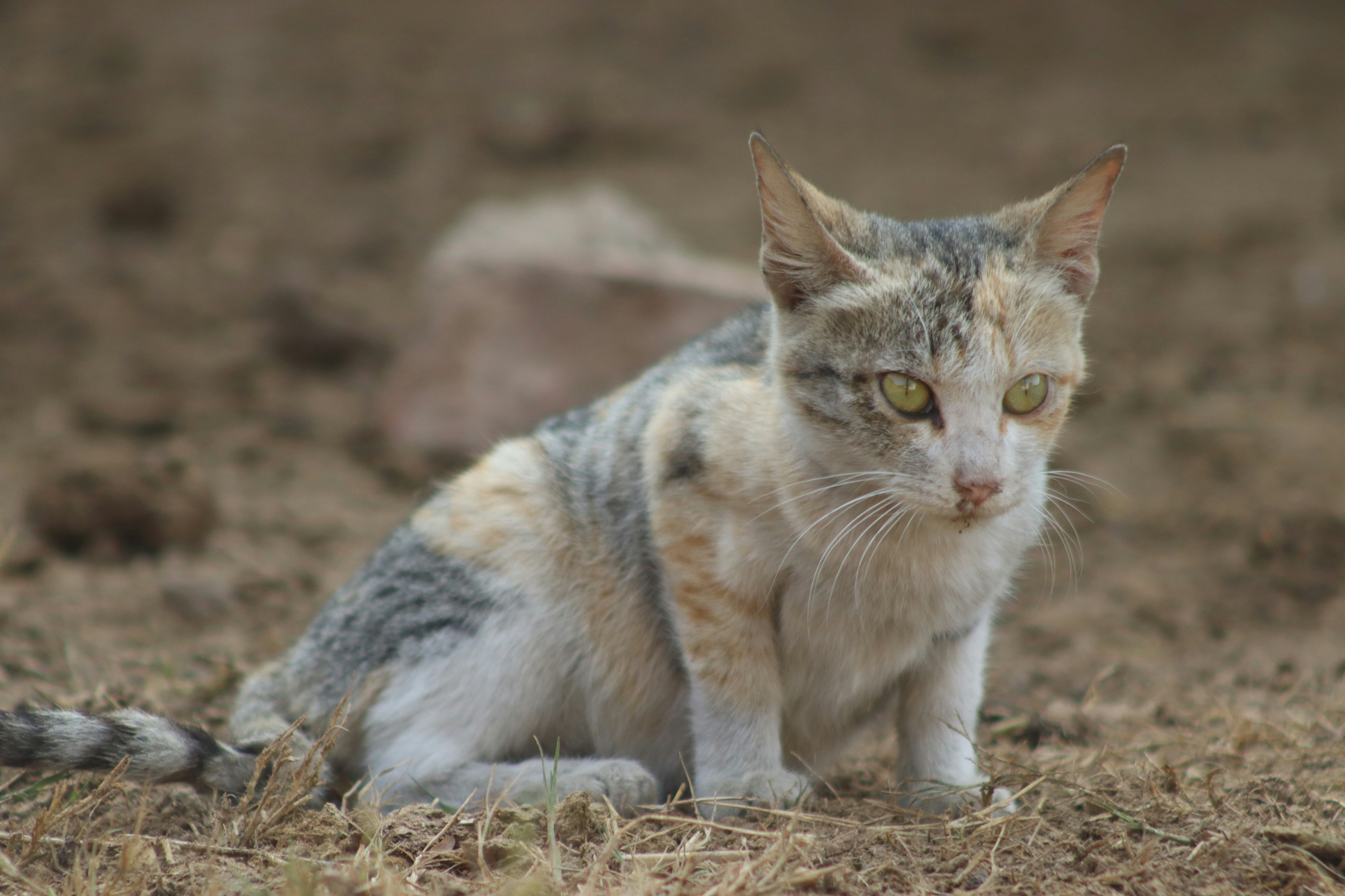 Photo by drphotographer152