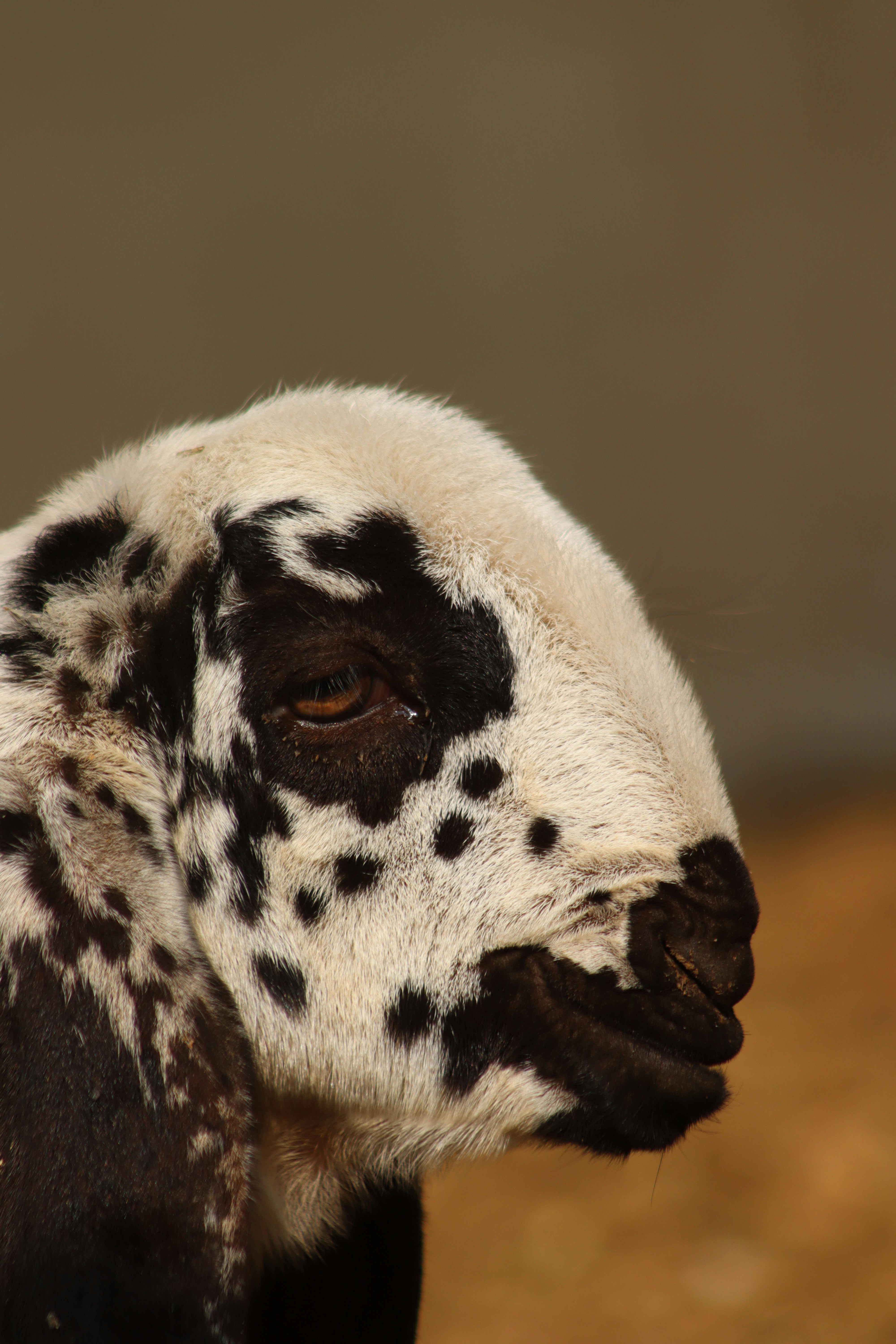 Photo by drphotographer152