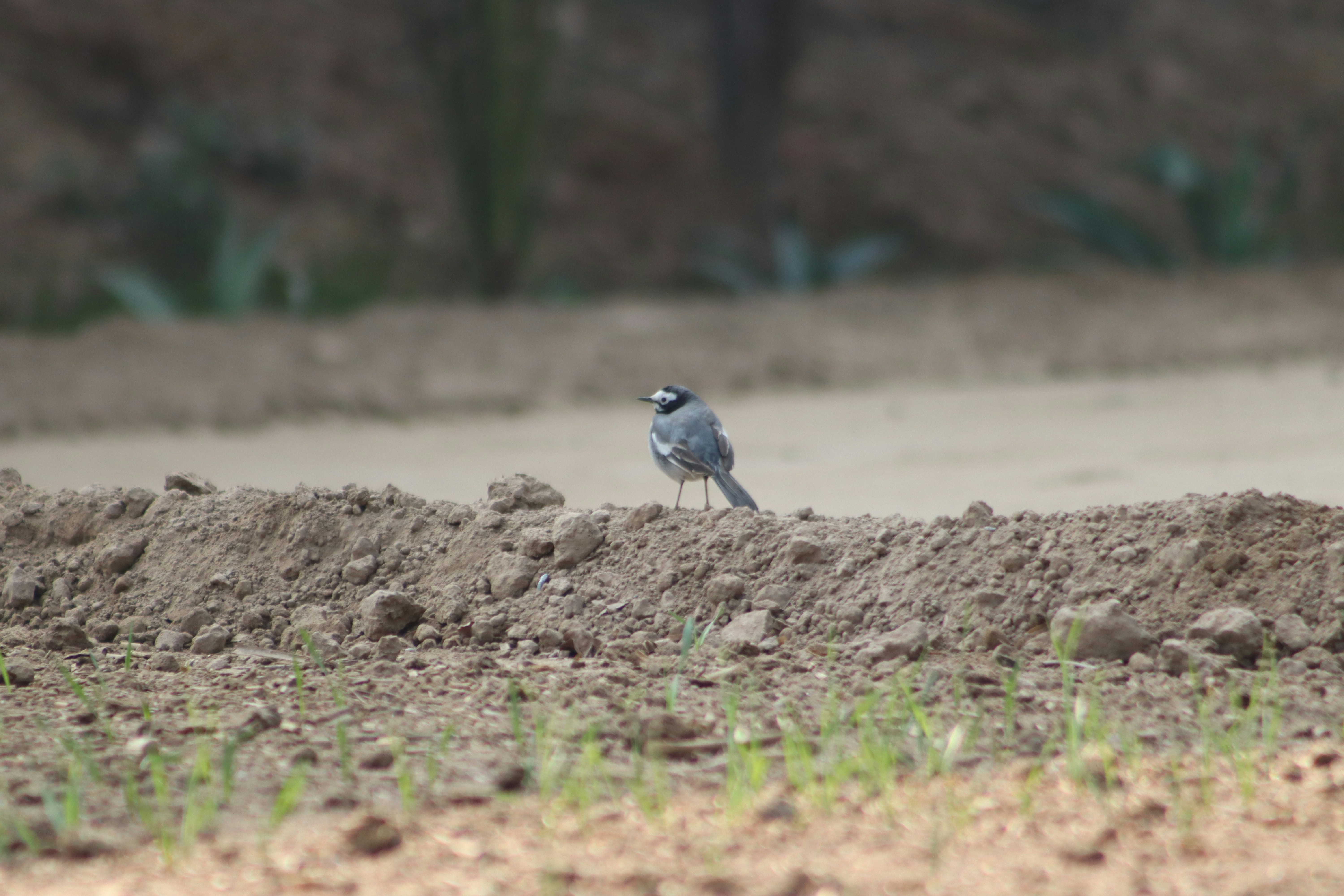 Photo by drphotographer152