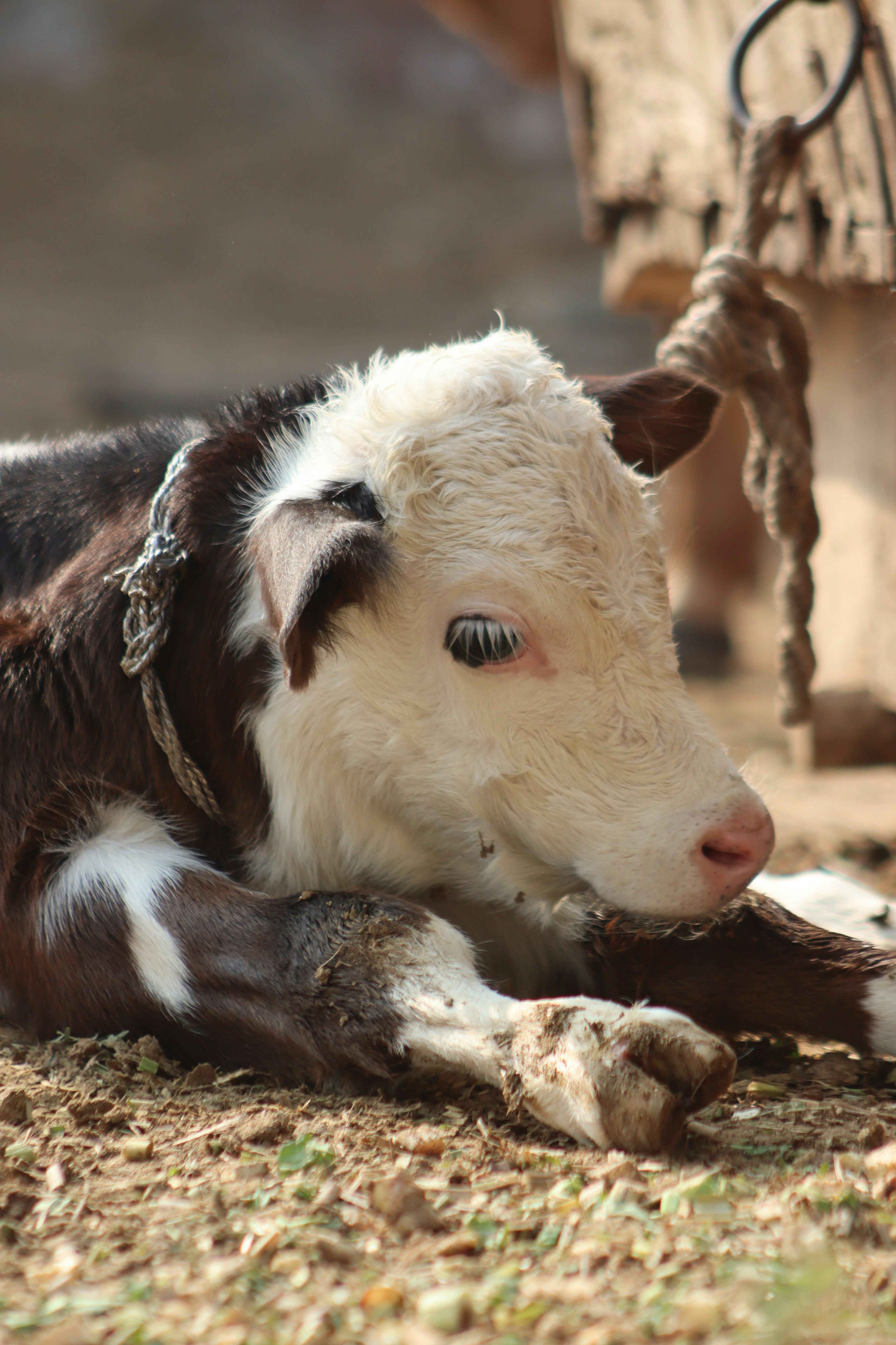 Photo by drphotographer152