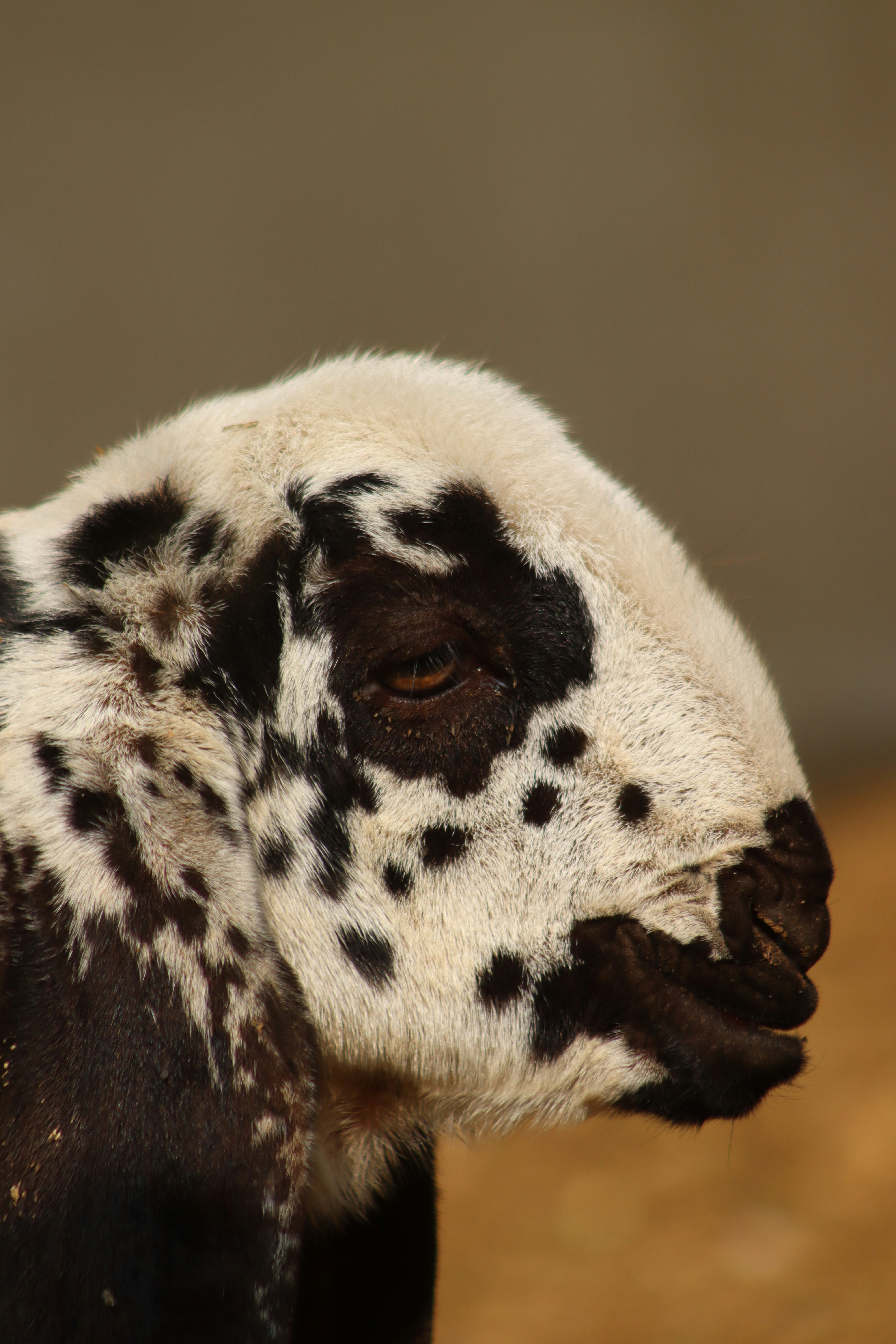 Photo by drphotographer152