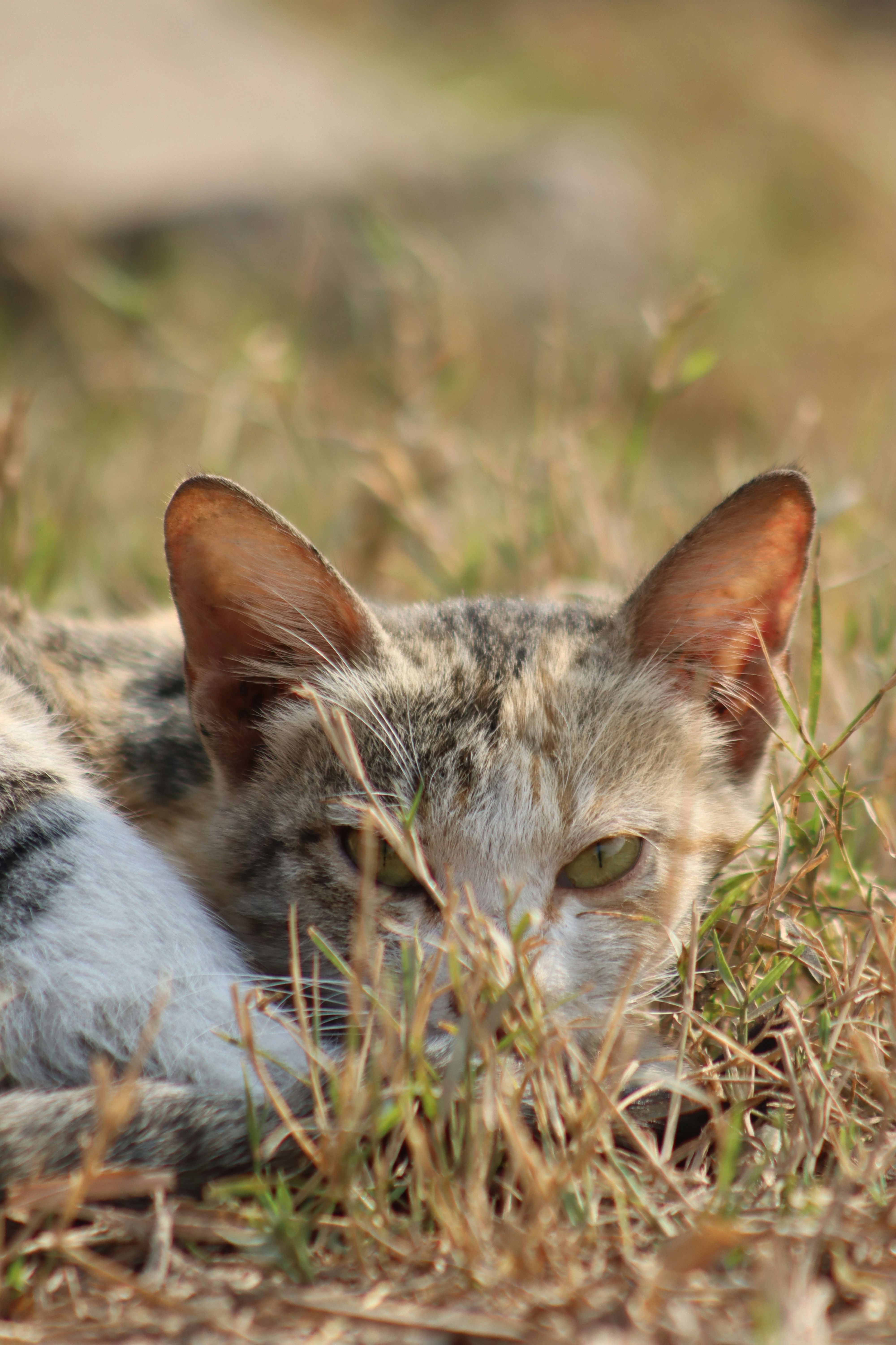 Photo by drphotographer152