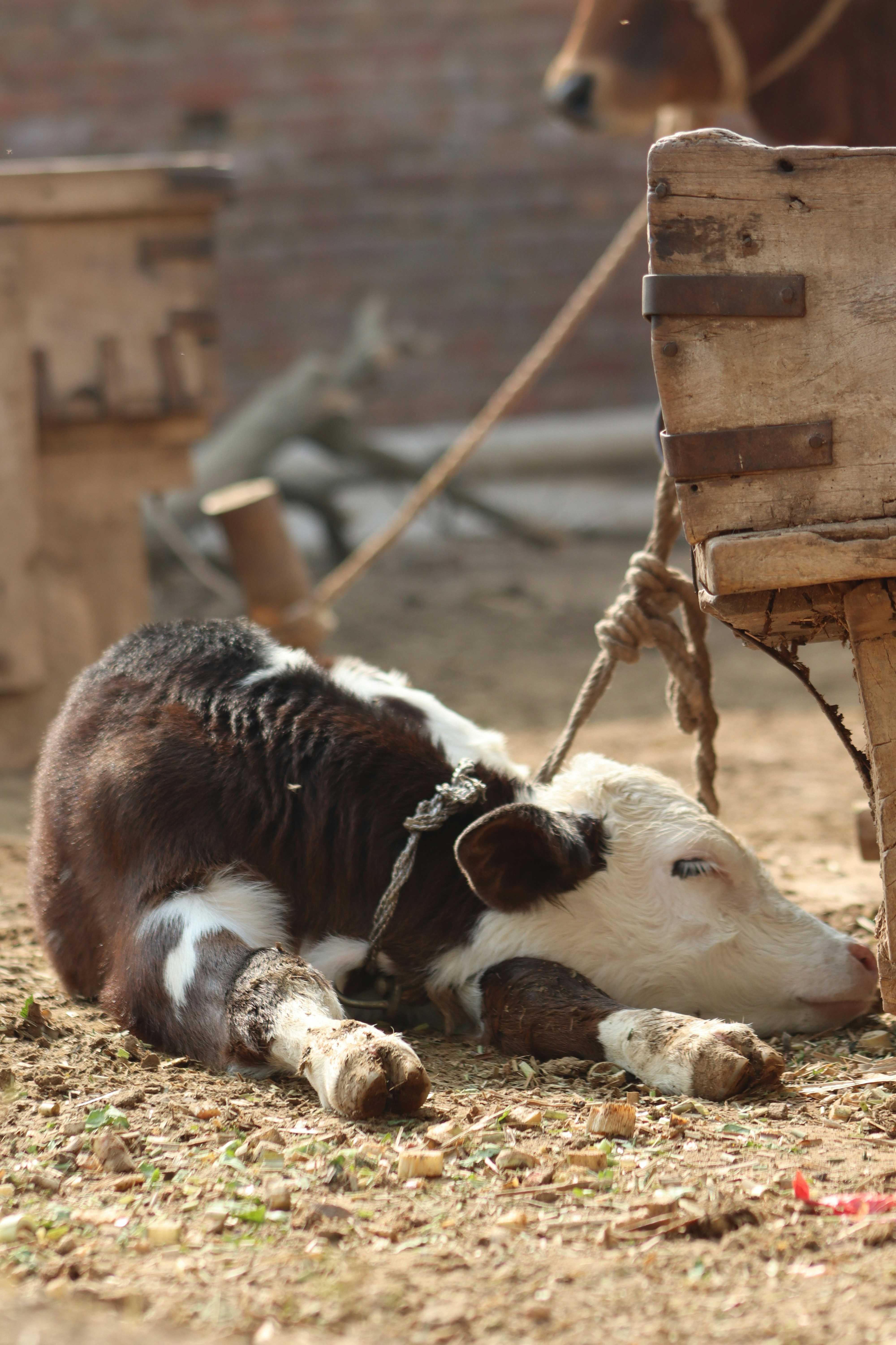 Photo by drphotographer152