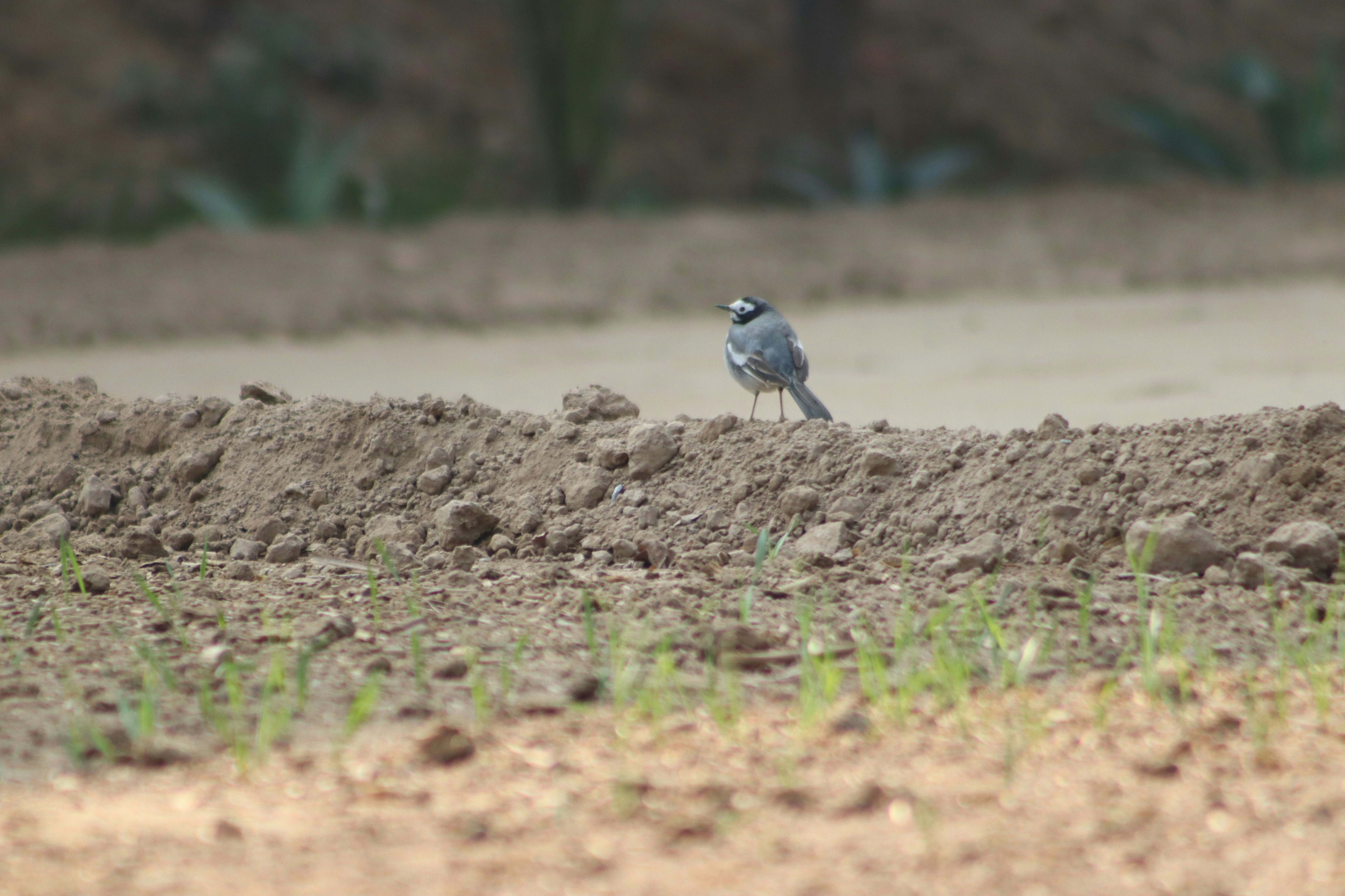 Photo by drphotographer152