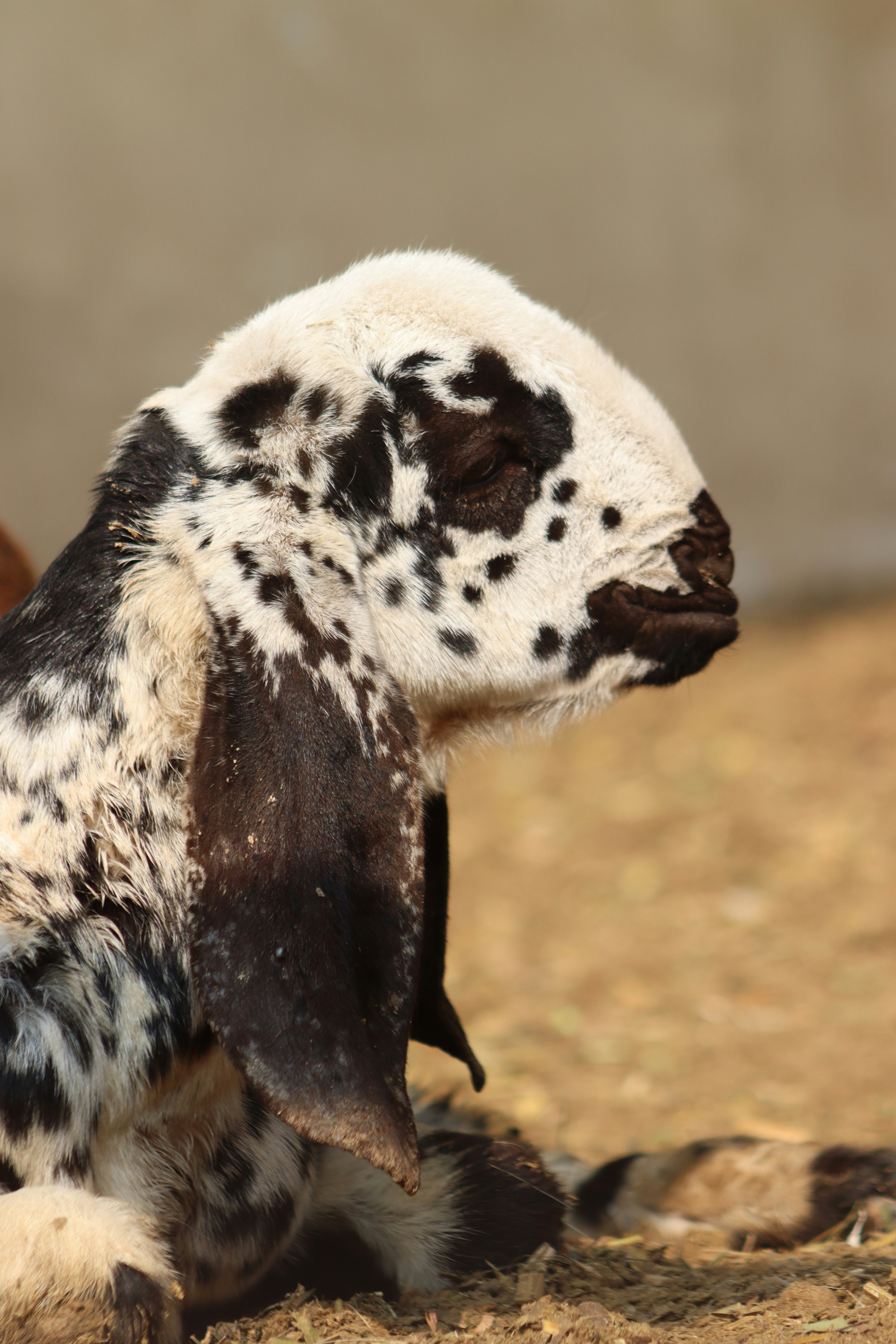 Photo by drphotographer152